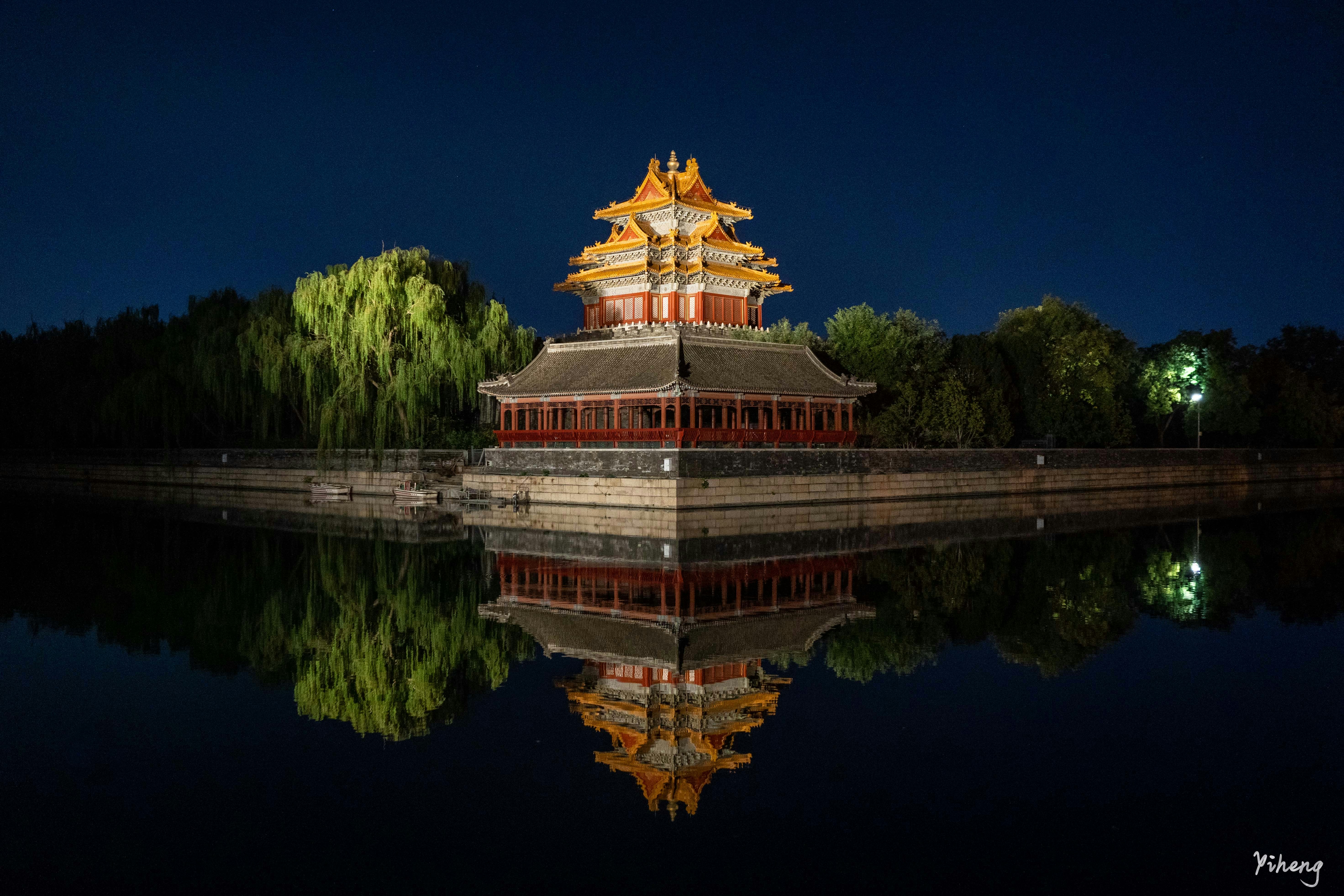 天啊！寵物竟然也會得「這病」！別再傻傻分不清了！