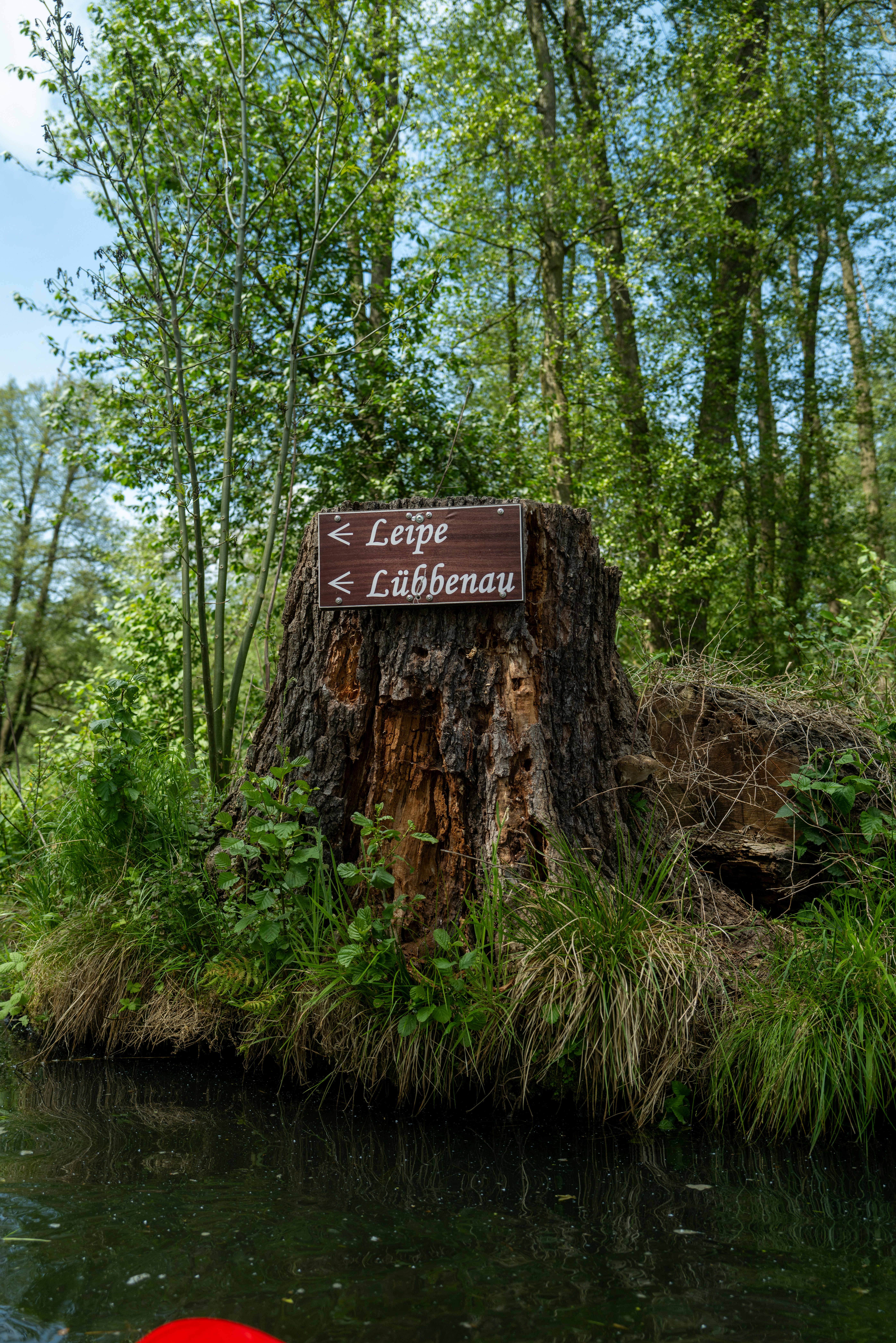 Photo by dominikferl