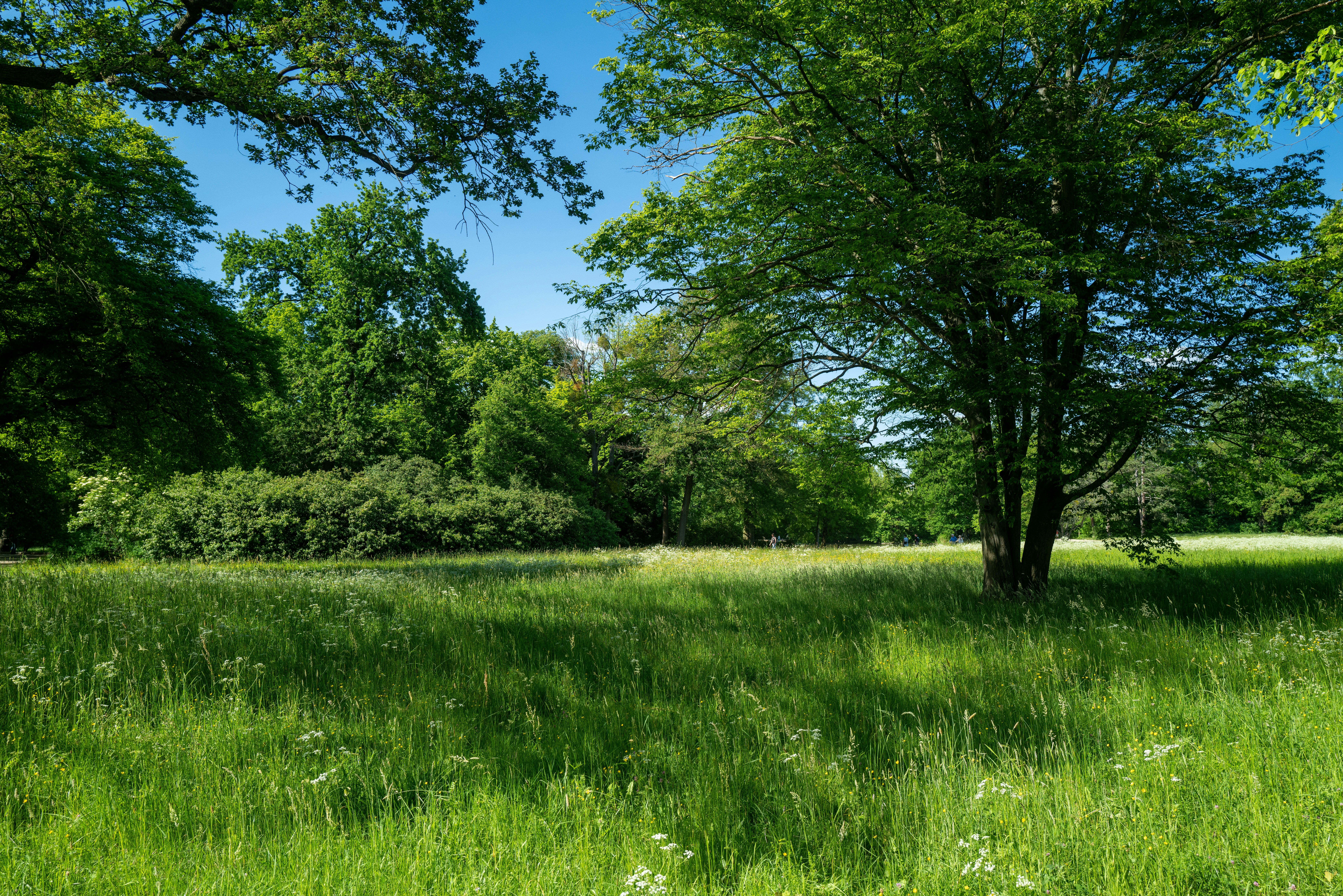 Photo by dominikferl