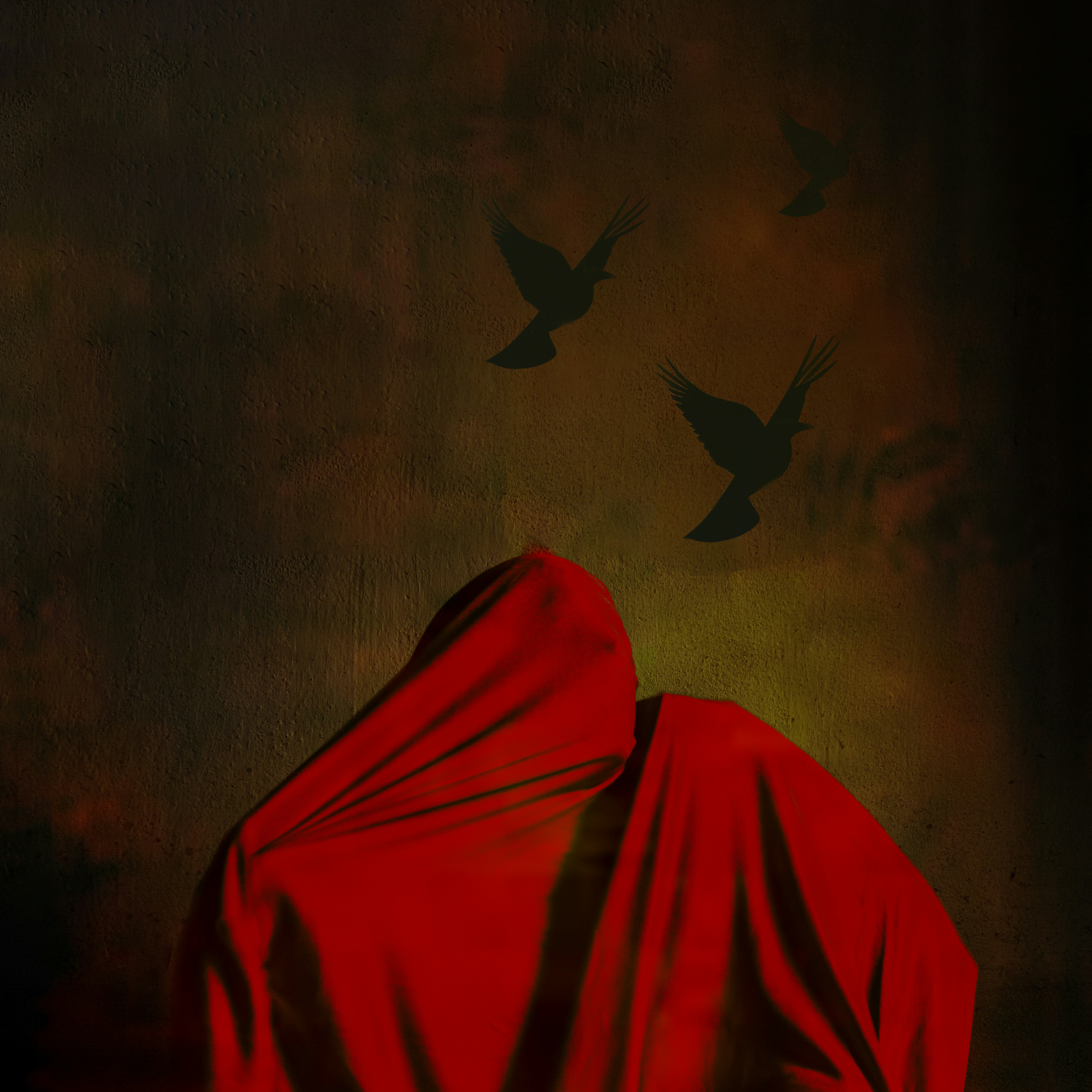 une personne vêtue d’une cape rouge avec un oiseau volant en arrière-plan