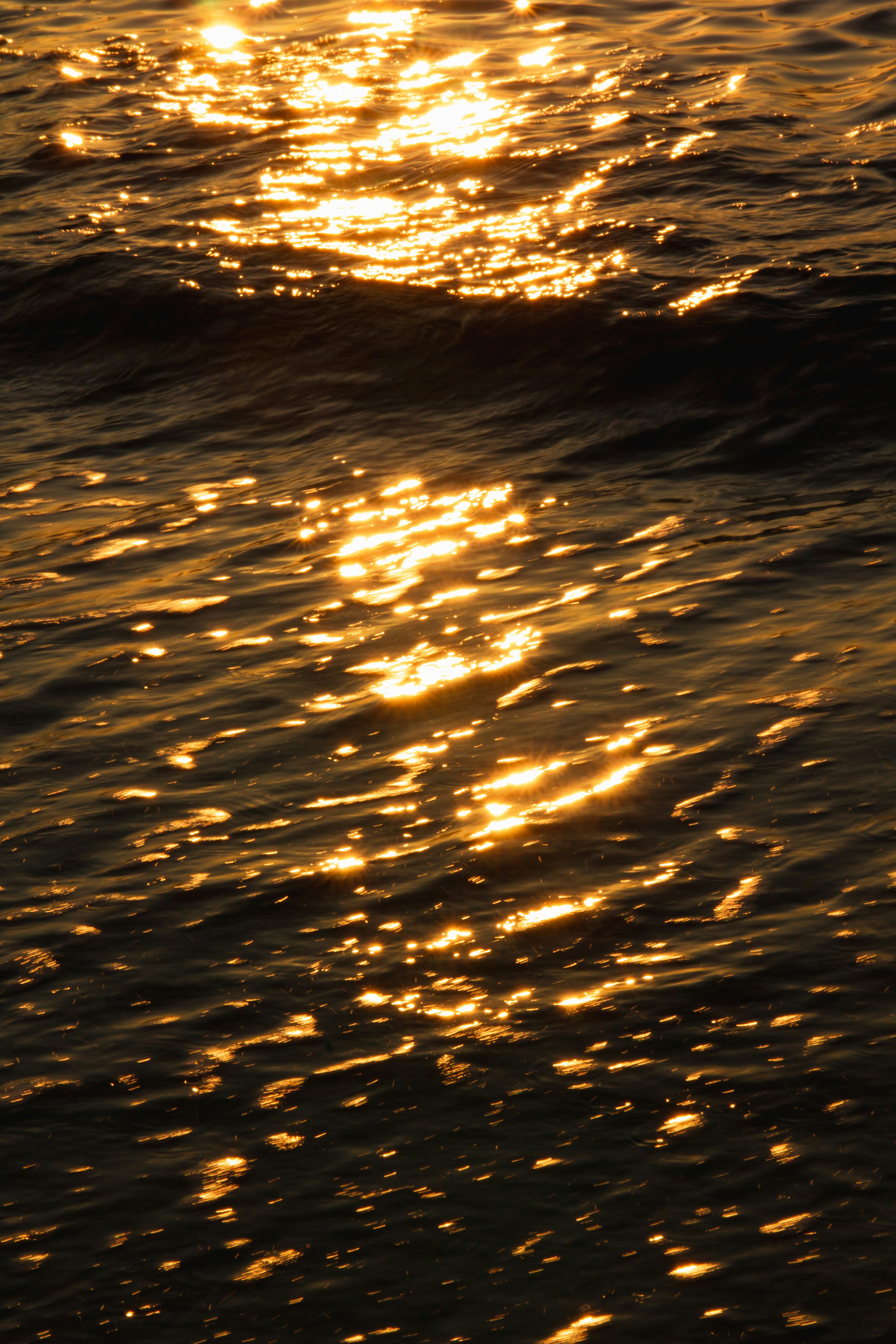 Photo by sam_badmaeva