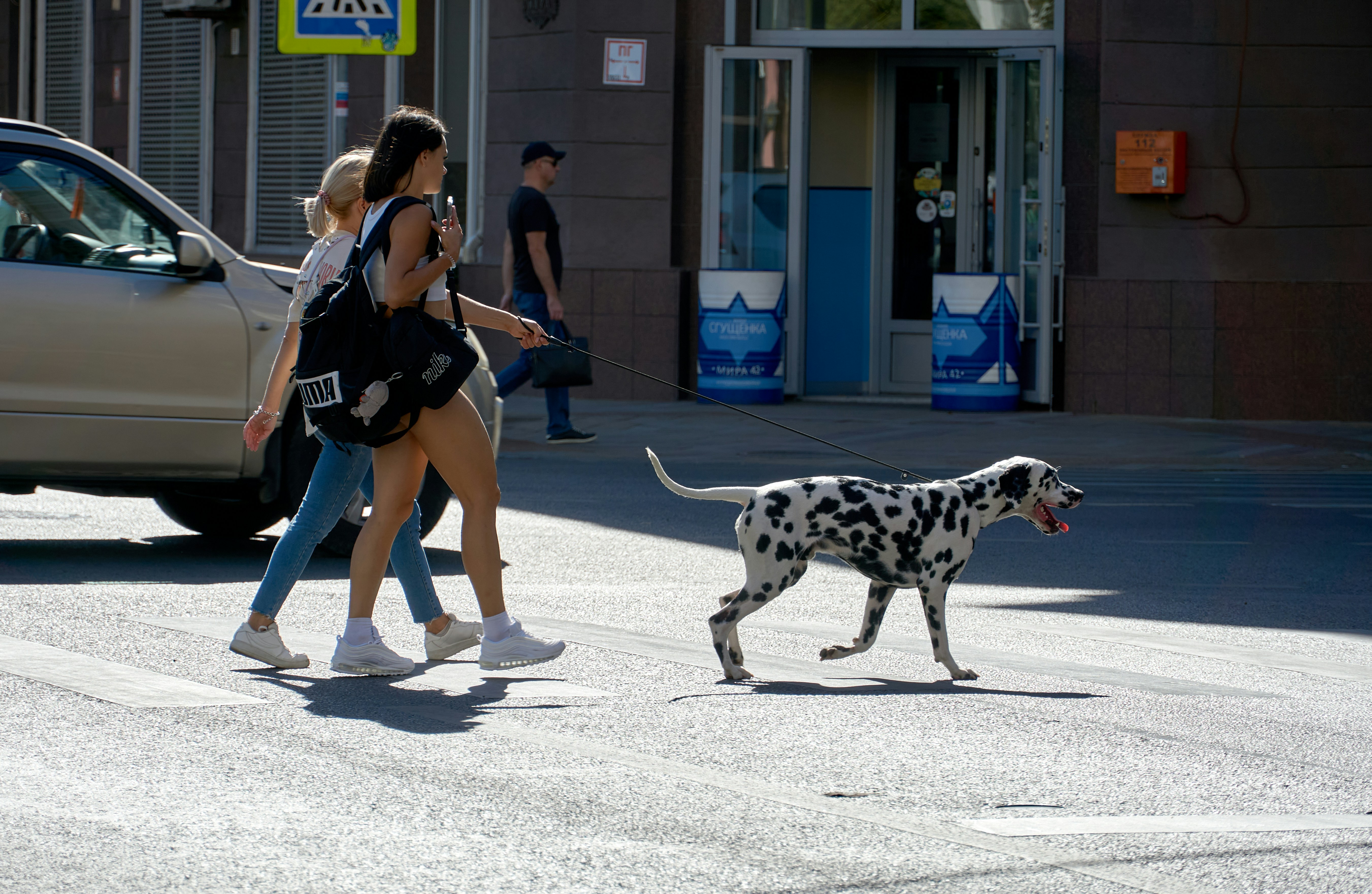 Understanding the Wobble Walk