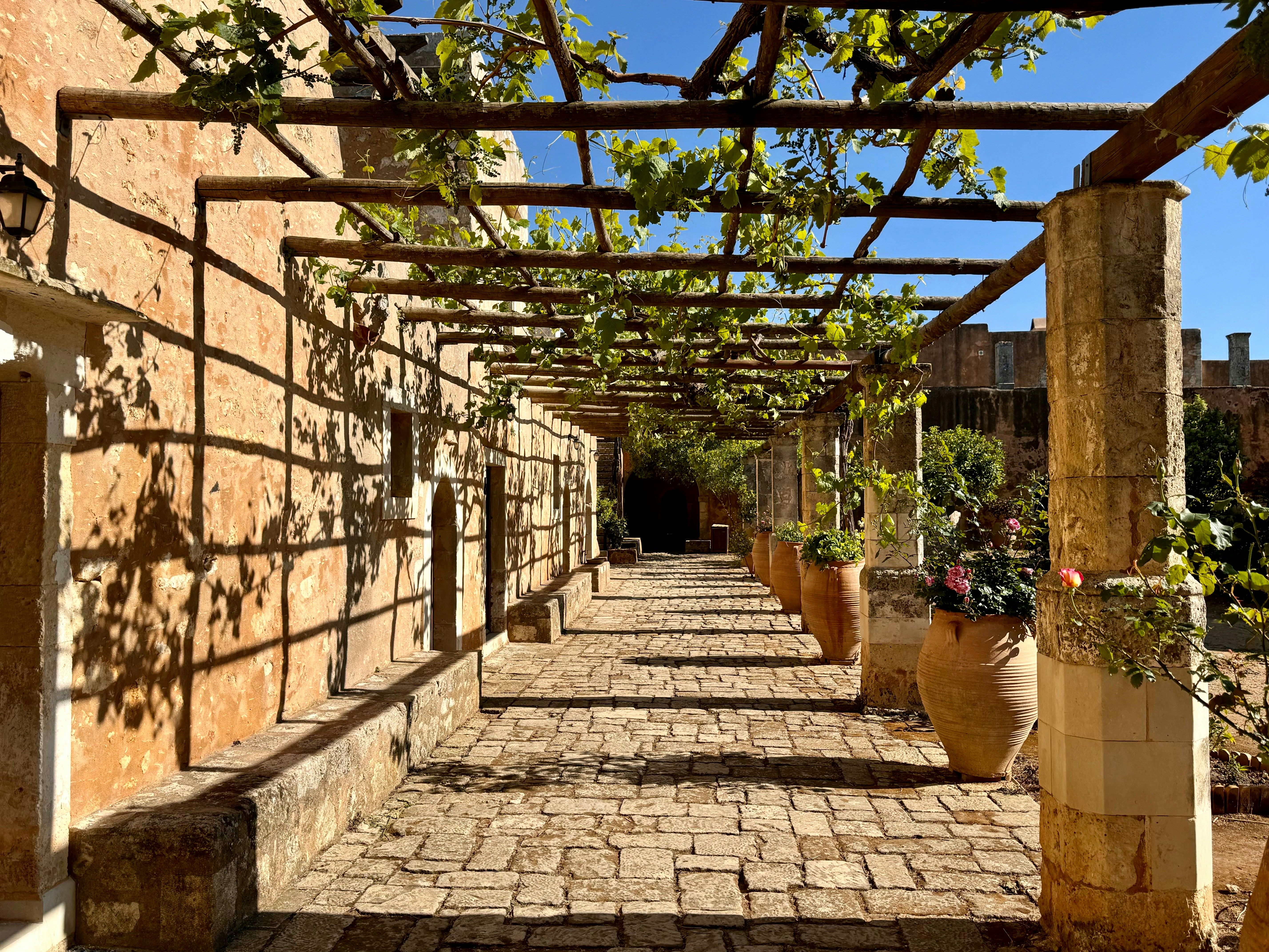 A walkway lined with potted plants next to a building