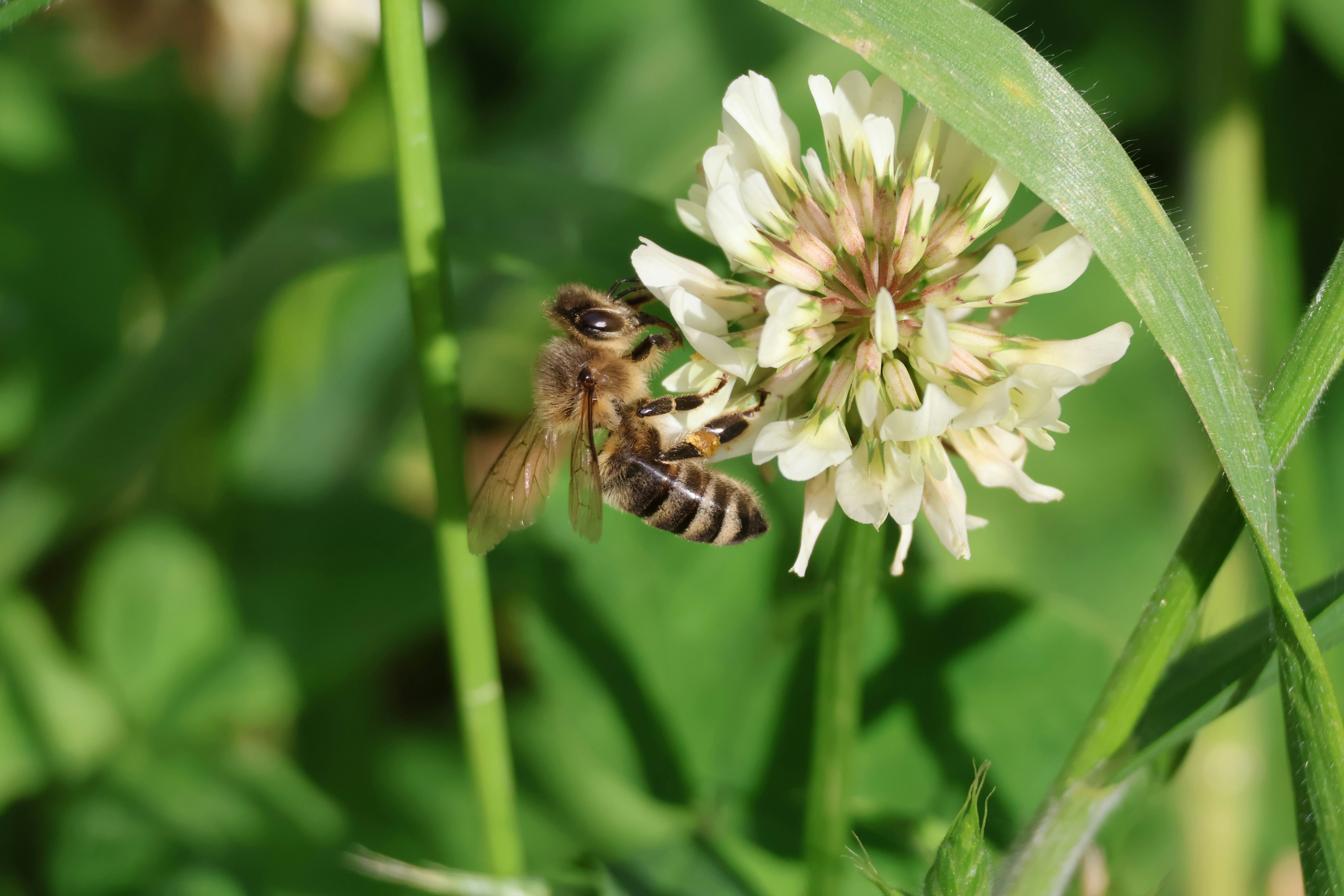 Photo by shooter__andy