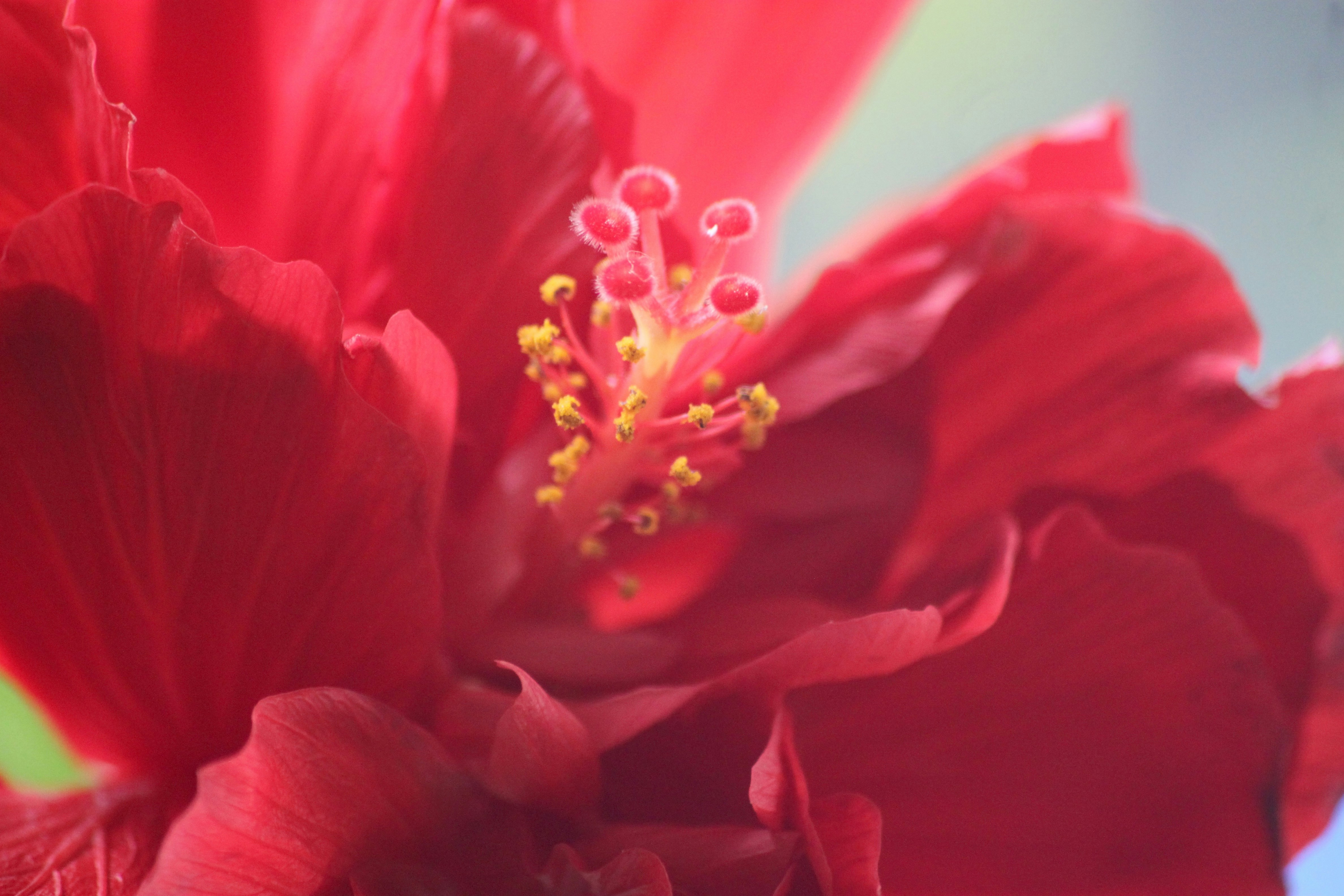 Photo by rahul_saraf