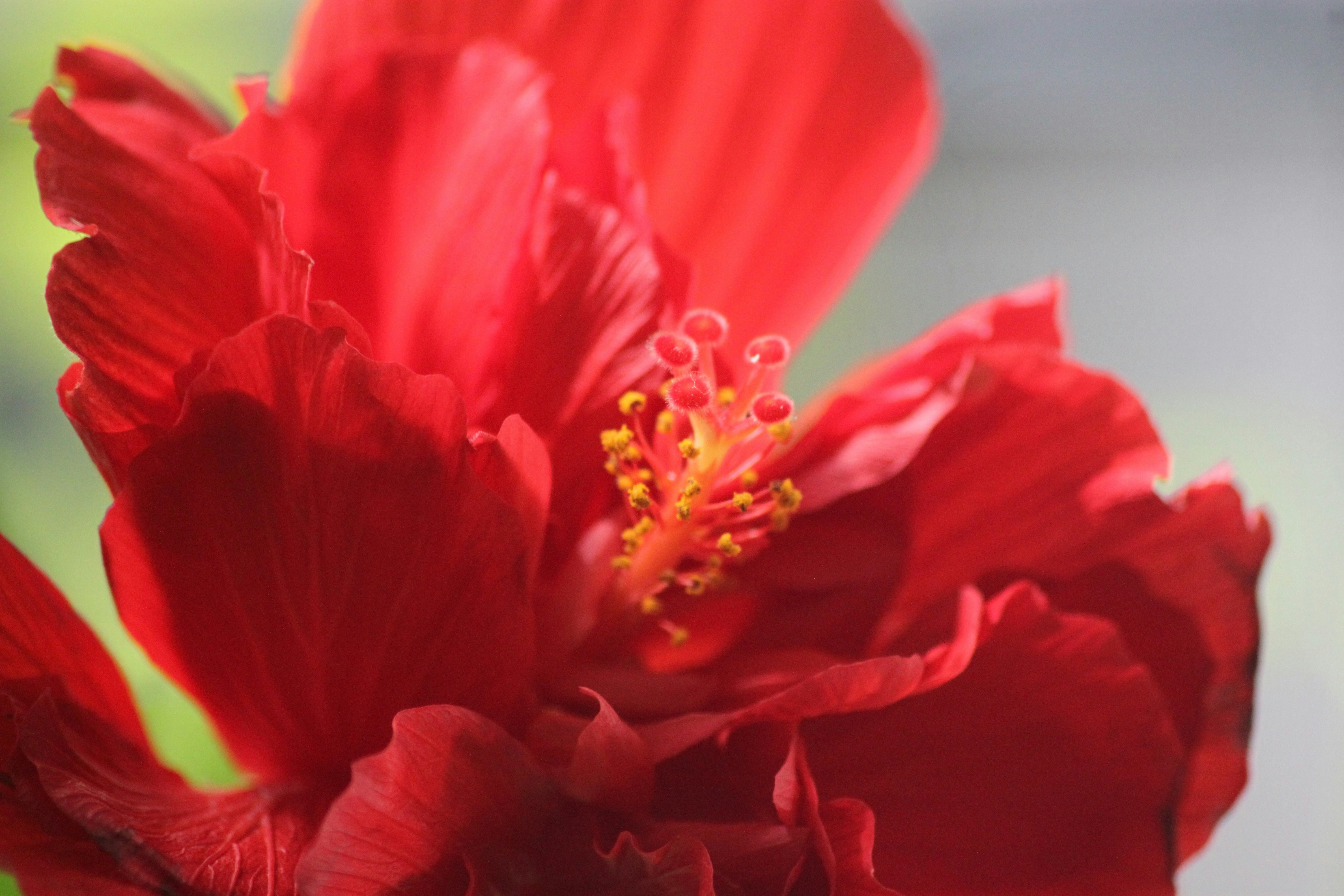 Photo by rahul_saraf