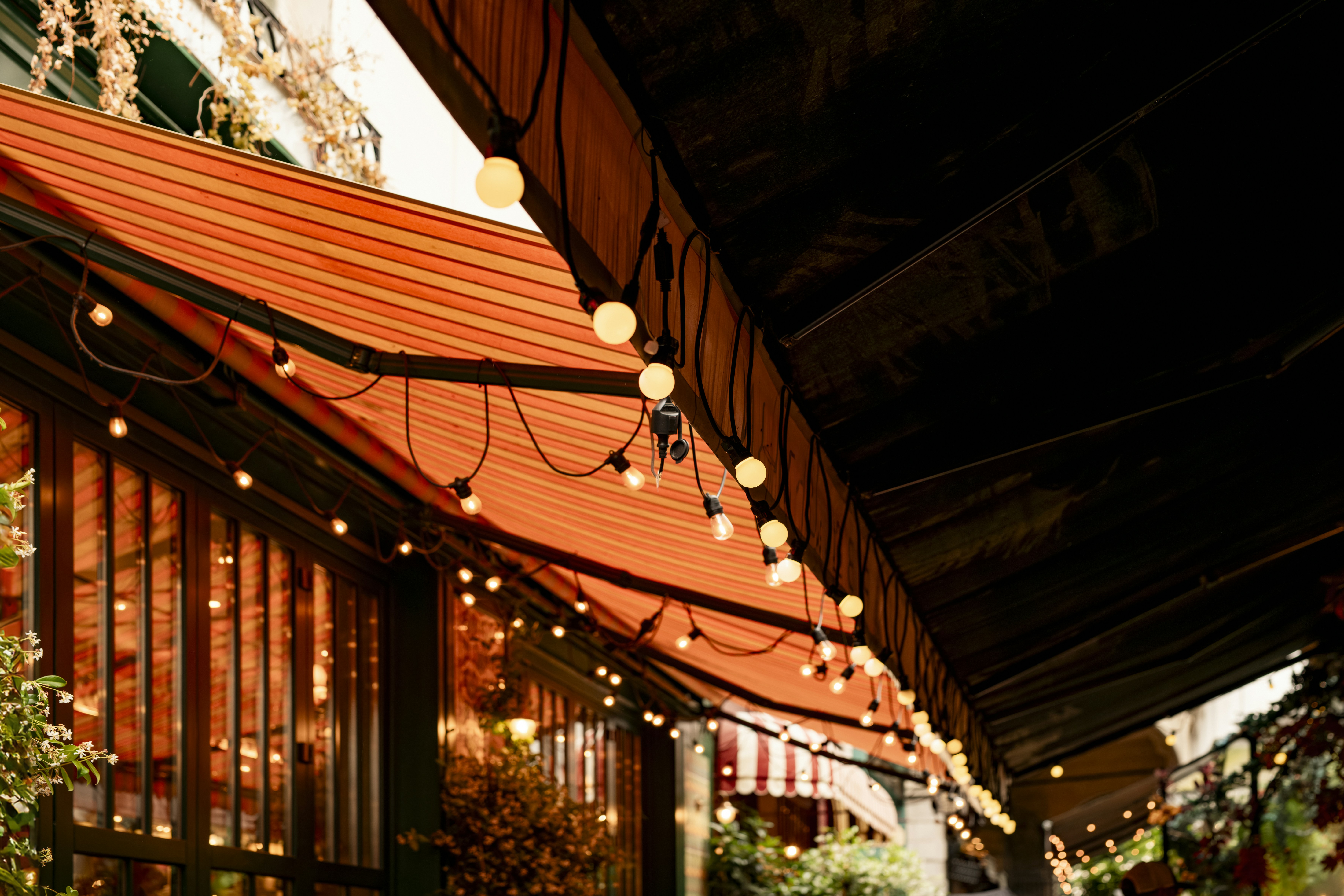 Photo by lauraadaiphoto