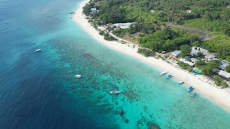 an aerial view of a beach with boats in the water