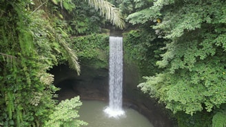 a waterfall in the middle of a forest