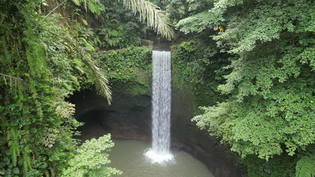 a waterfall in the middle of a forest