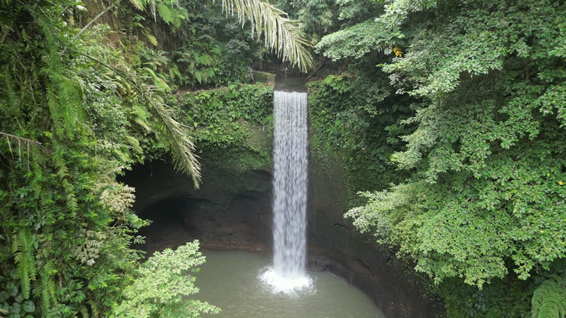a waterfall in the middle of a forest