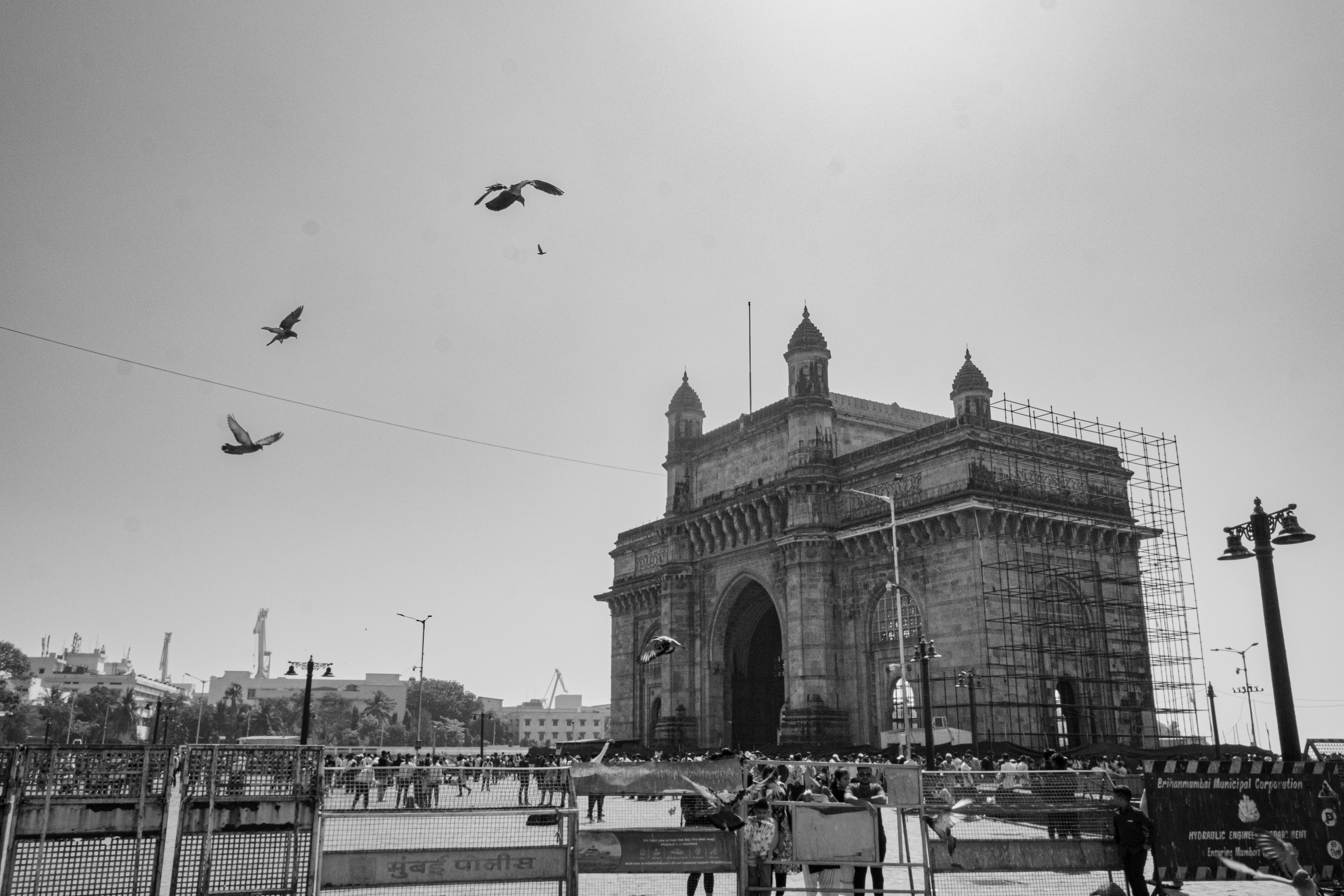 a black and white photo of birds flying over a building