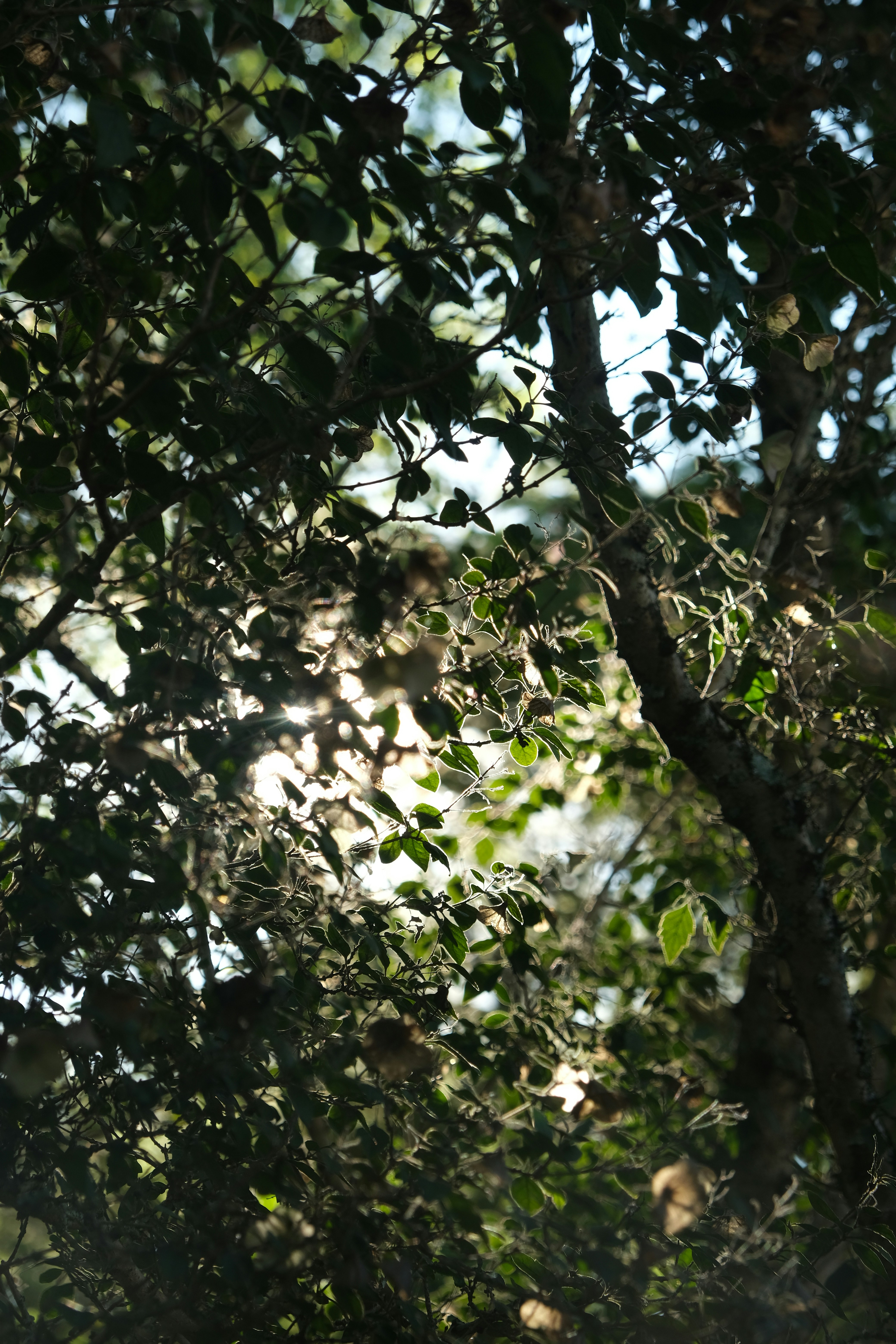 Photo by anya_meraki