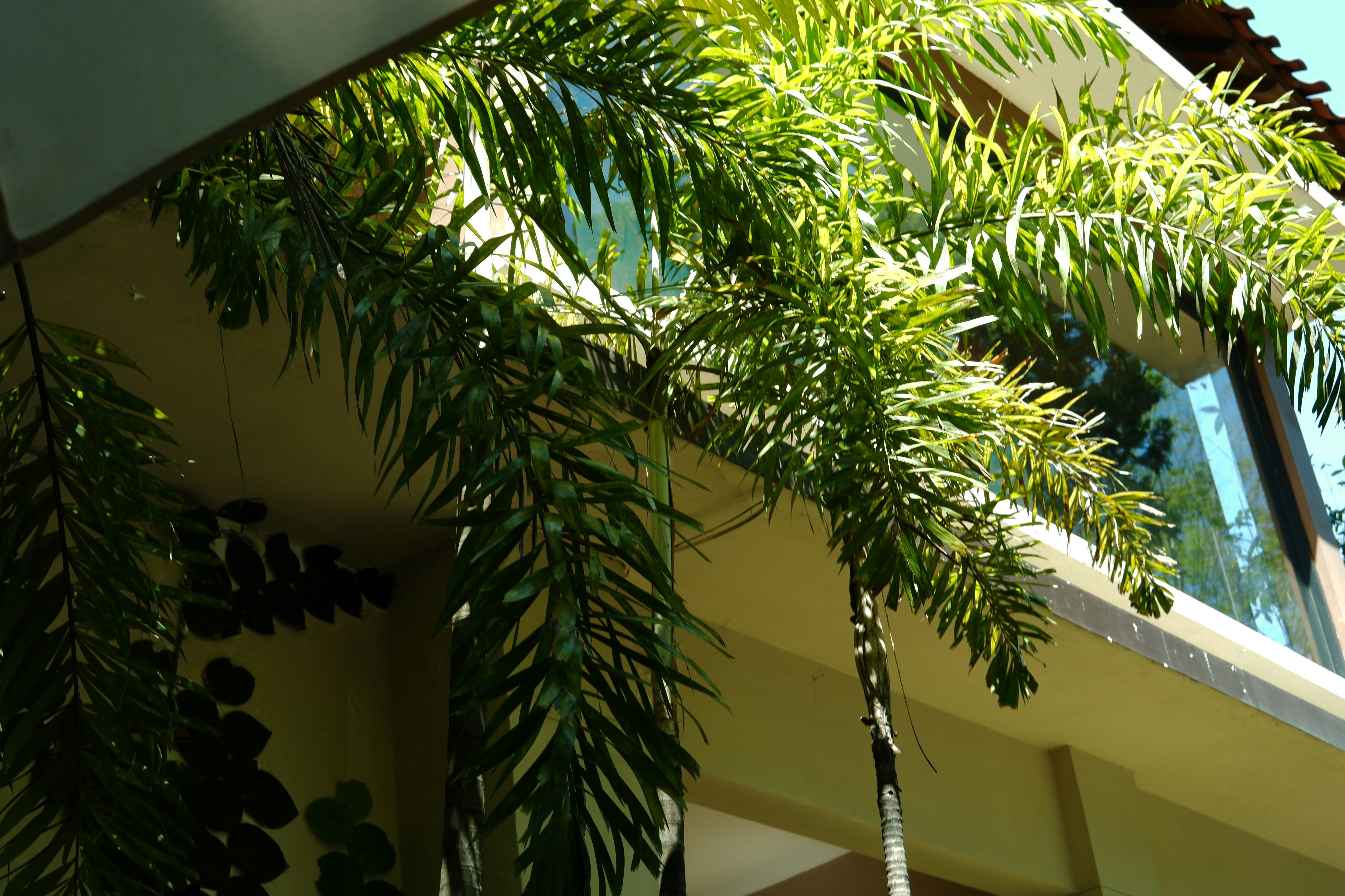 Photo by dhiyahaqila