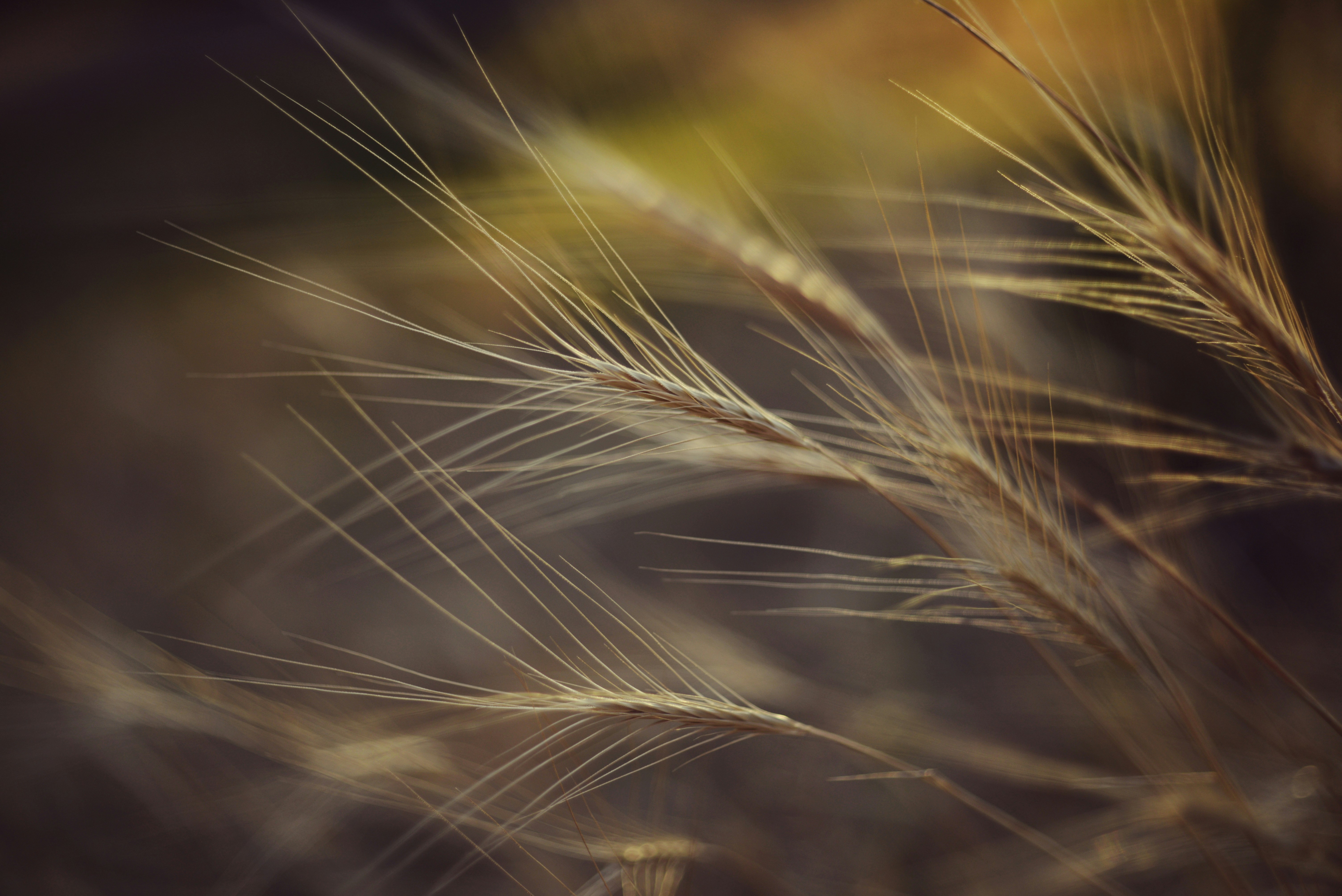 Photo by cherstve_pechivo