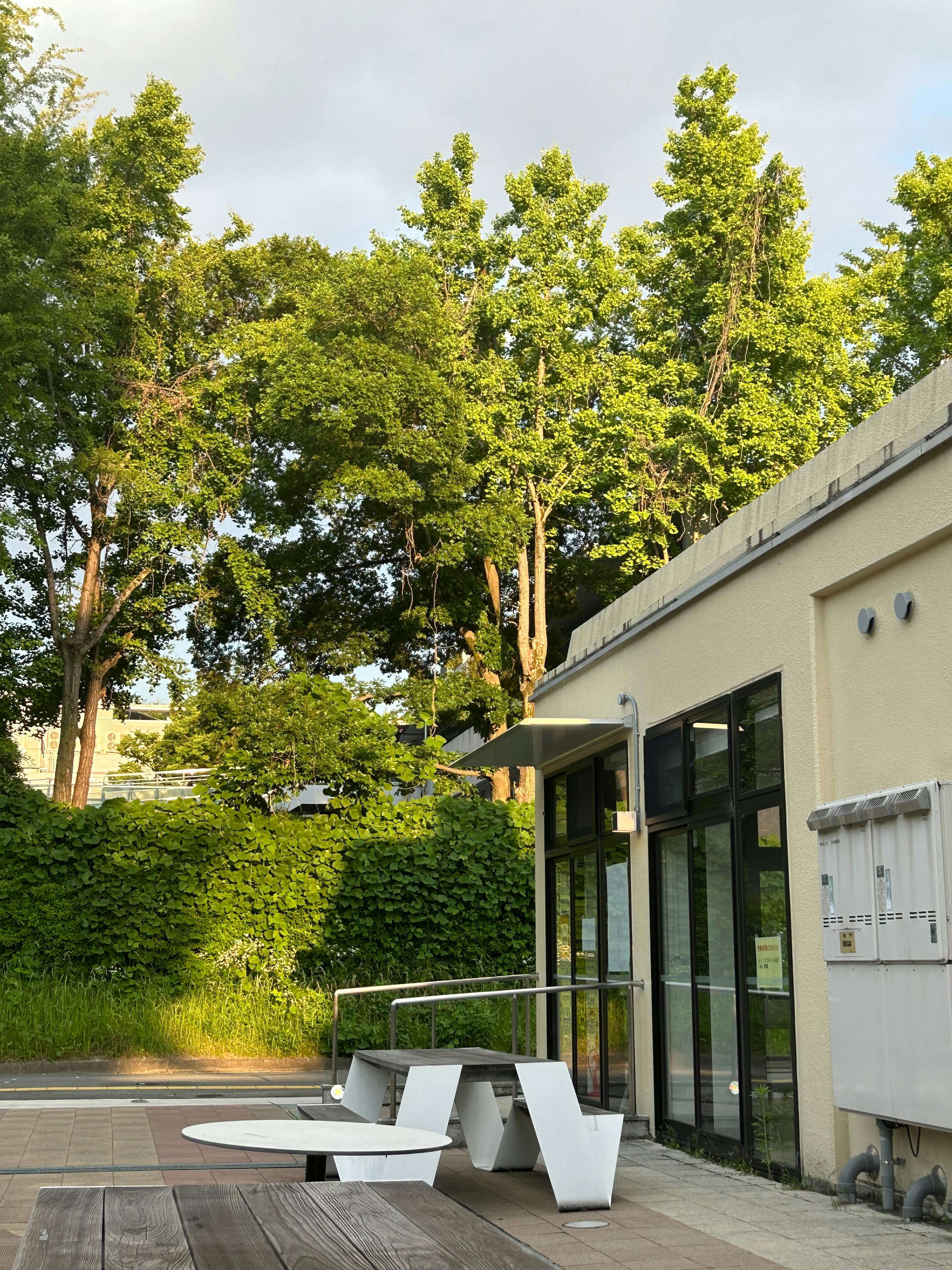 Photo by quantum_rose