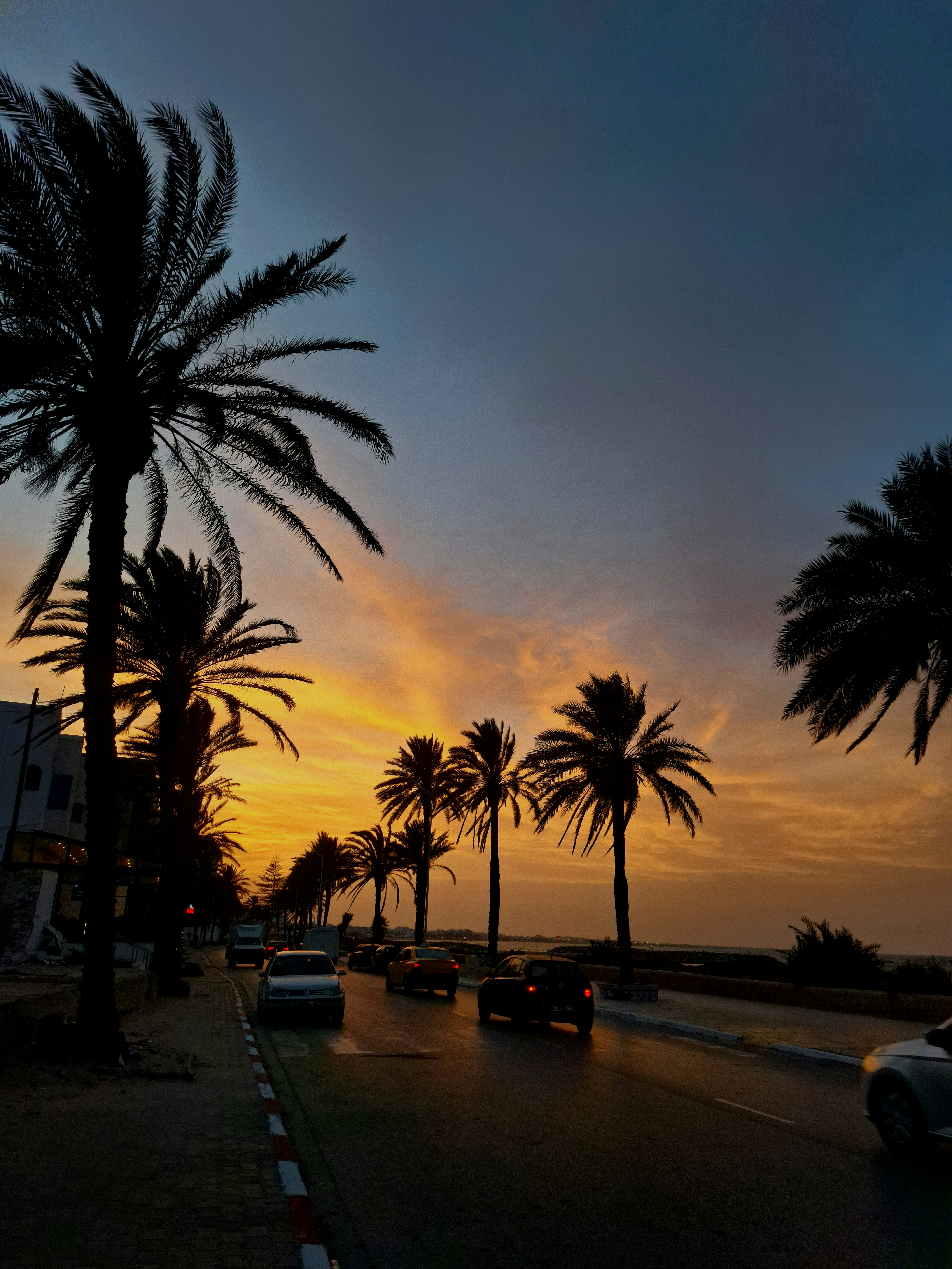 a street with palm trees and a sunset in the background