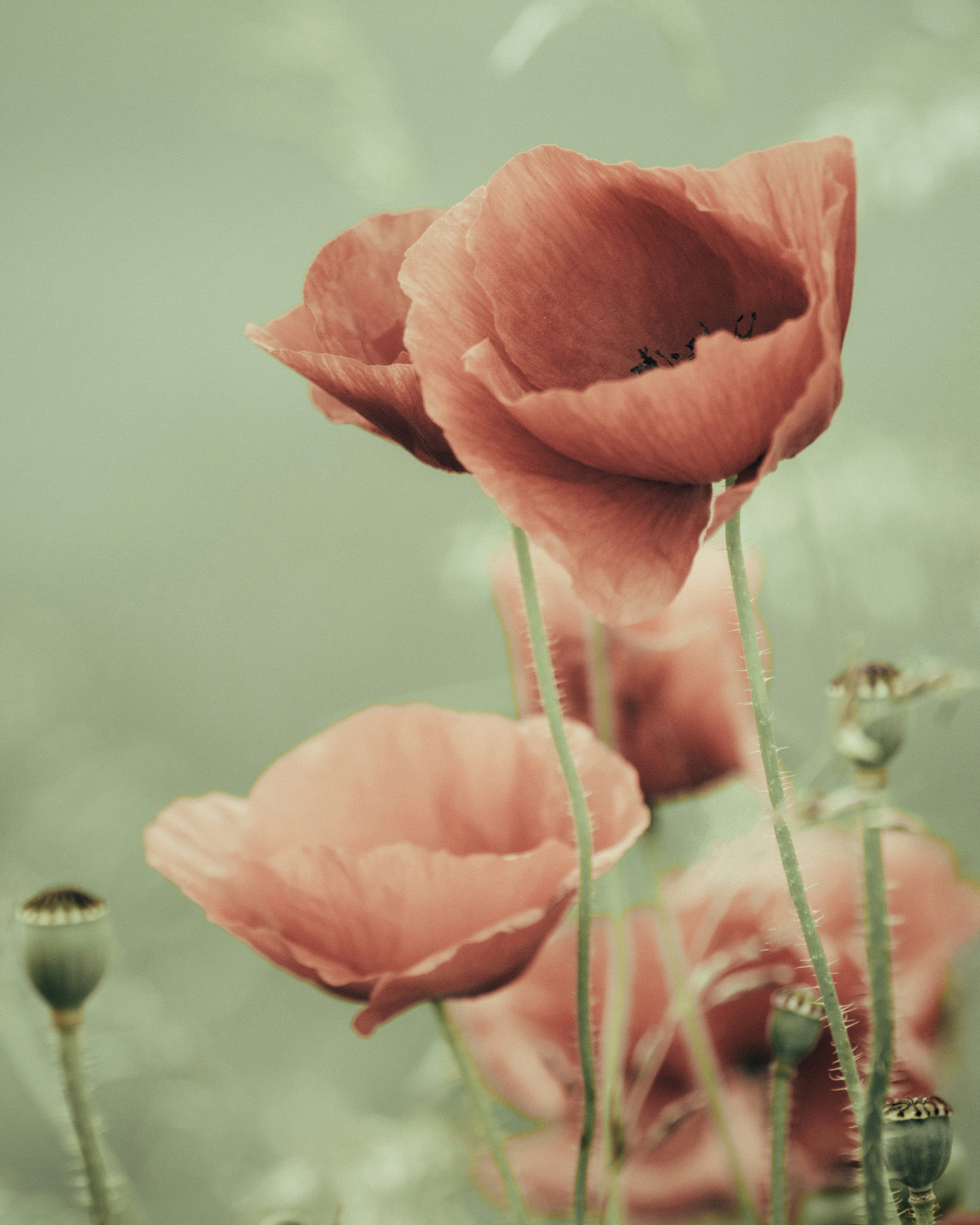 Photo by sinusfiction