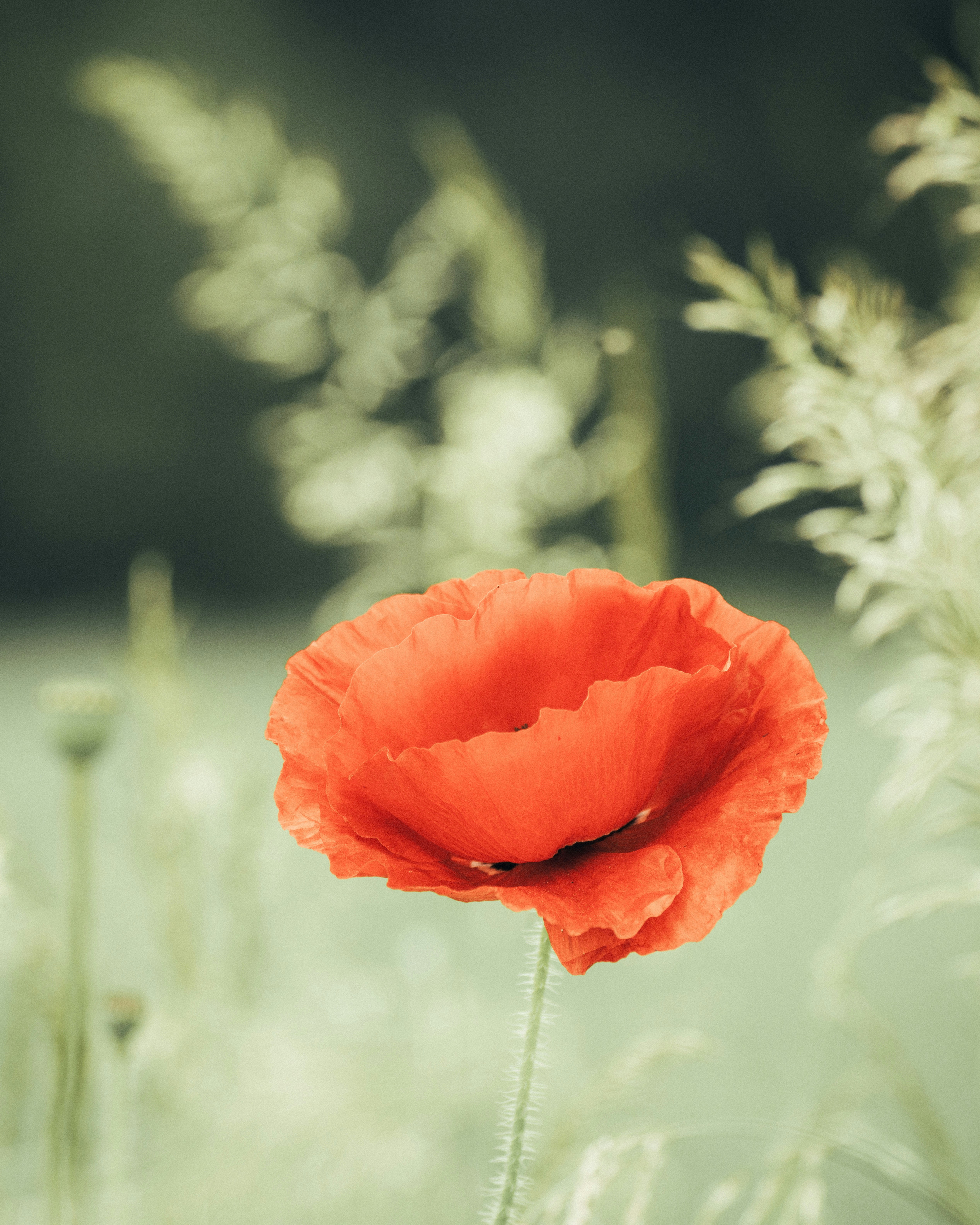 Photo by sinusfiction