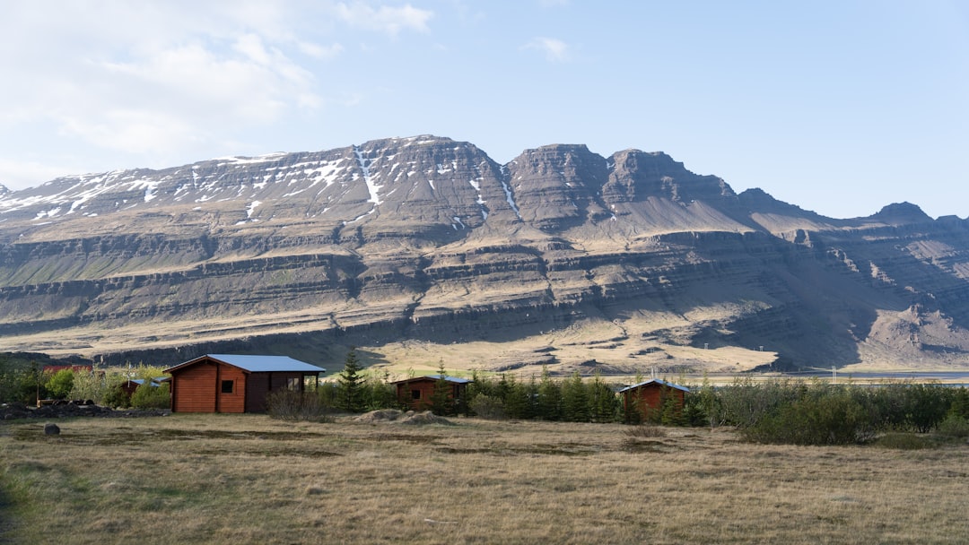 a field with a mountain in the background,