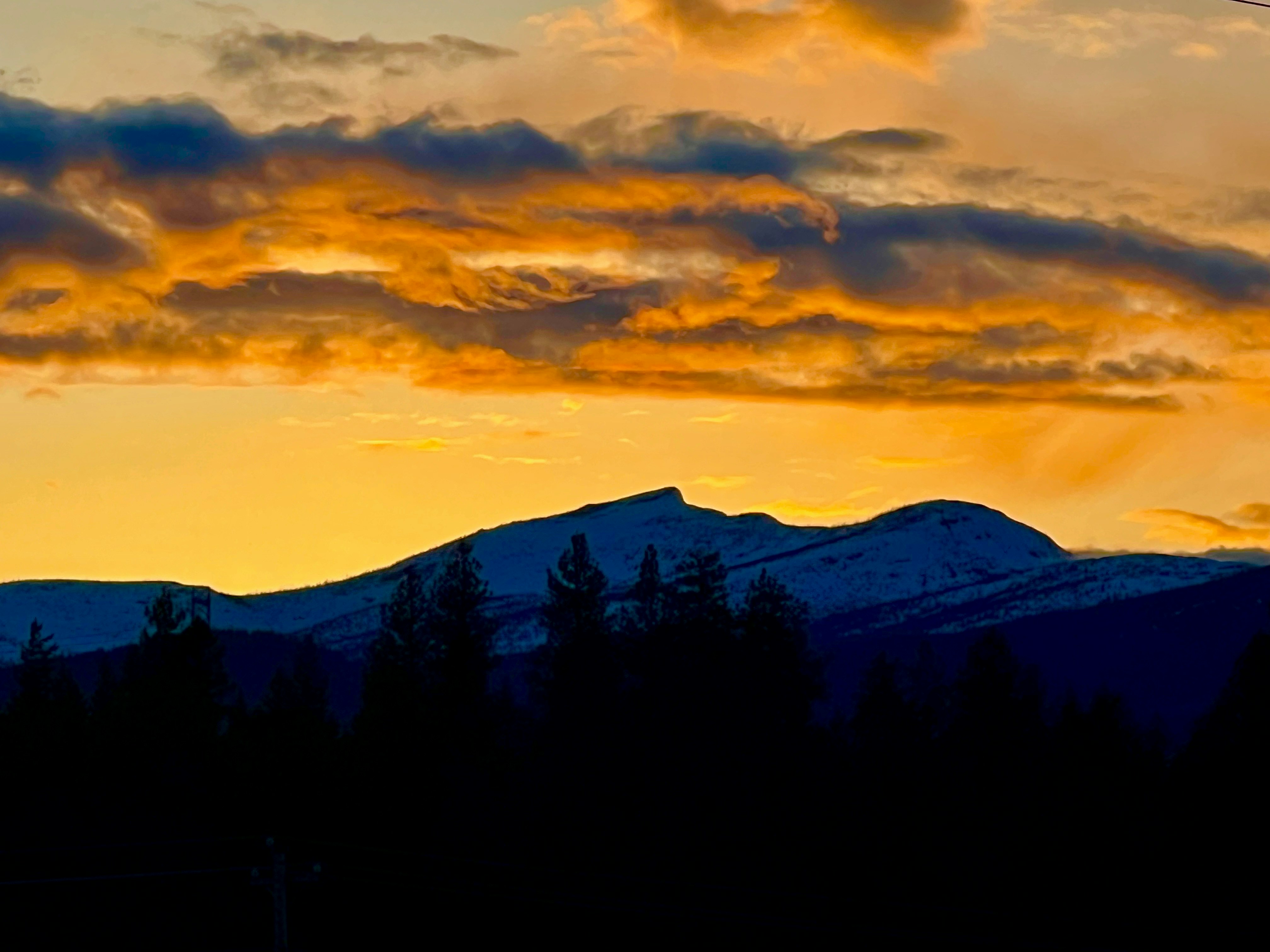 Photo by city2forest