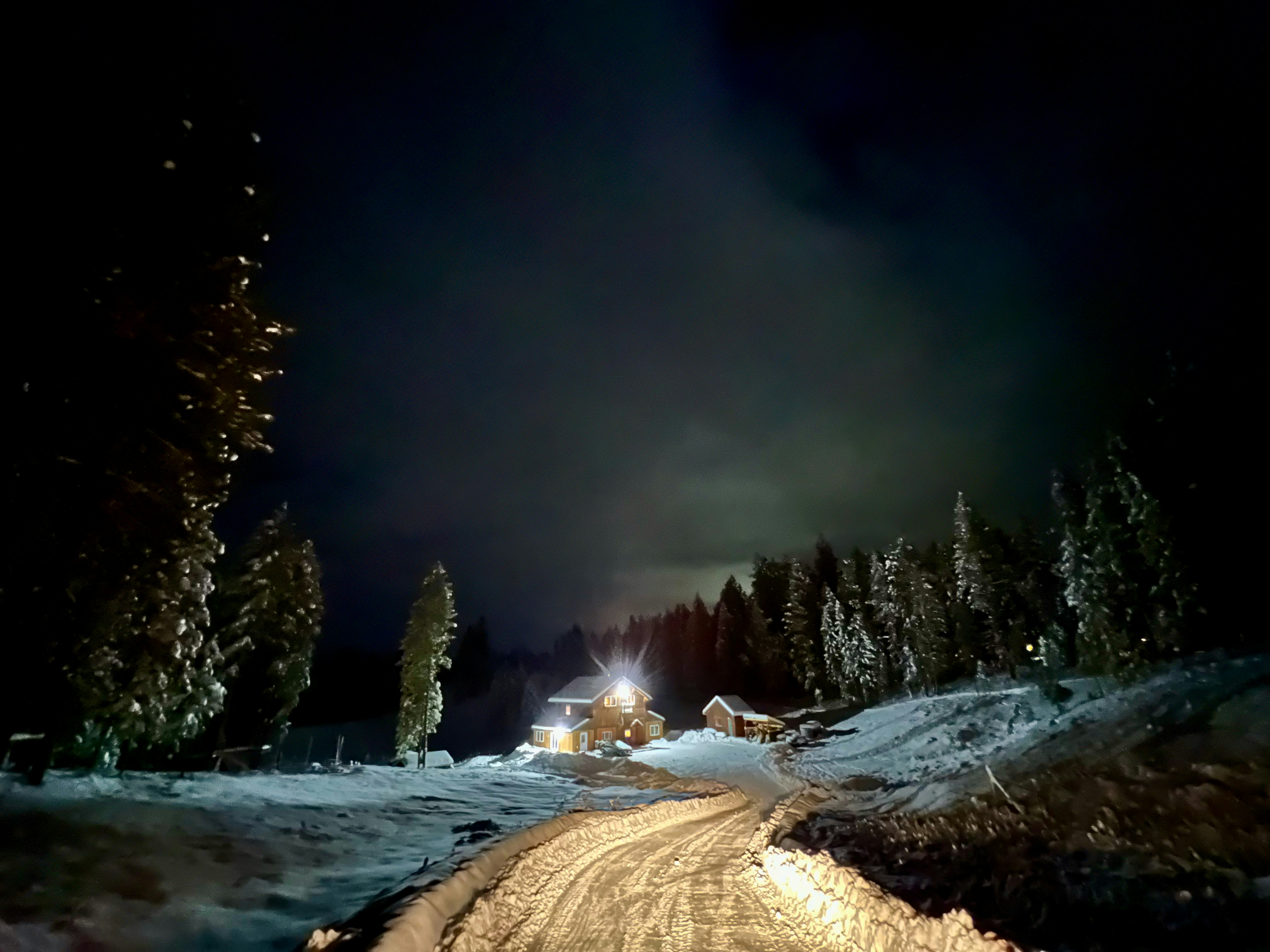 Photo by city2forest