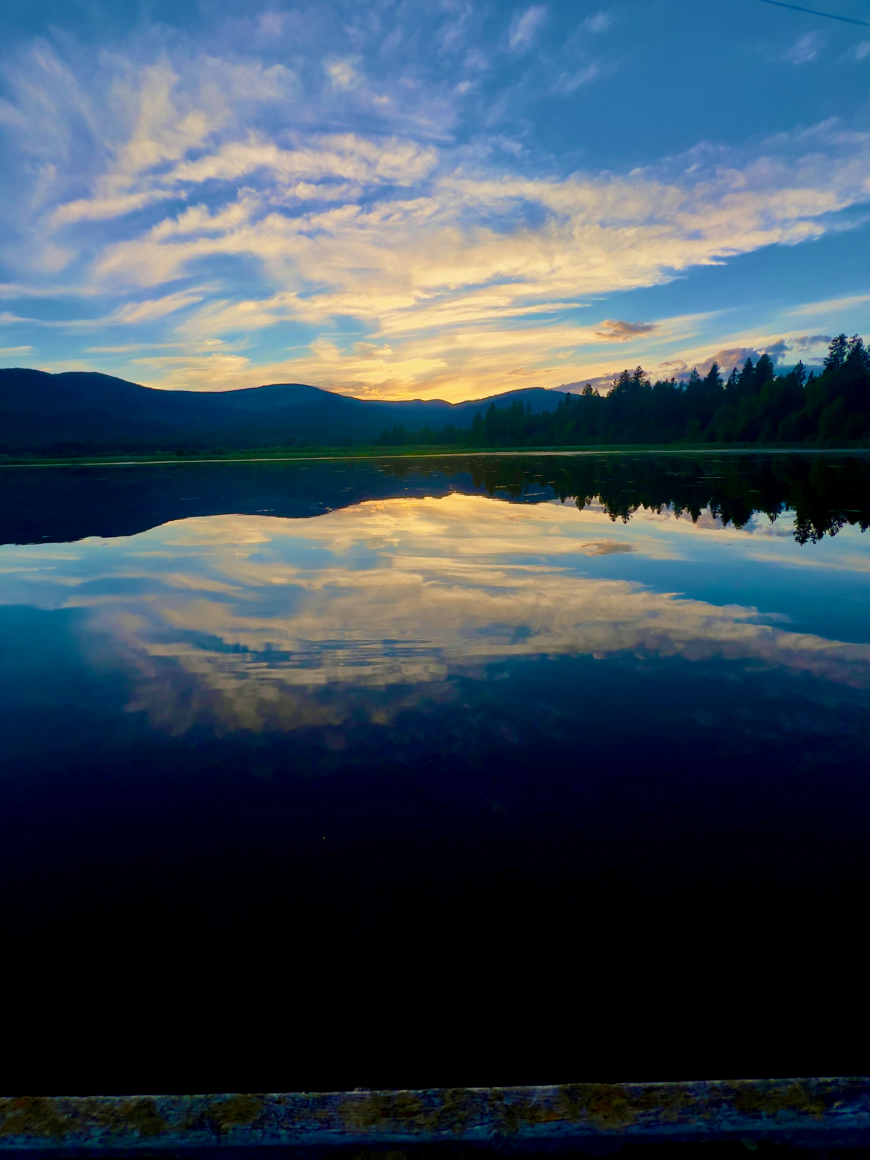 Photo by city2forest