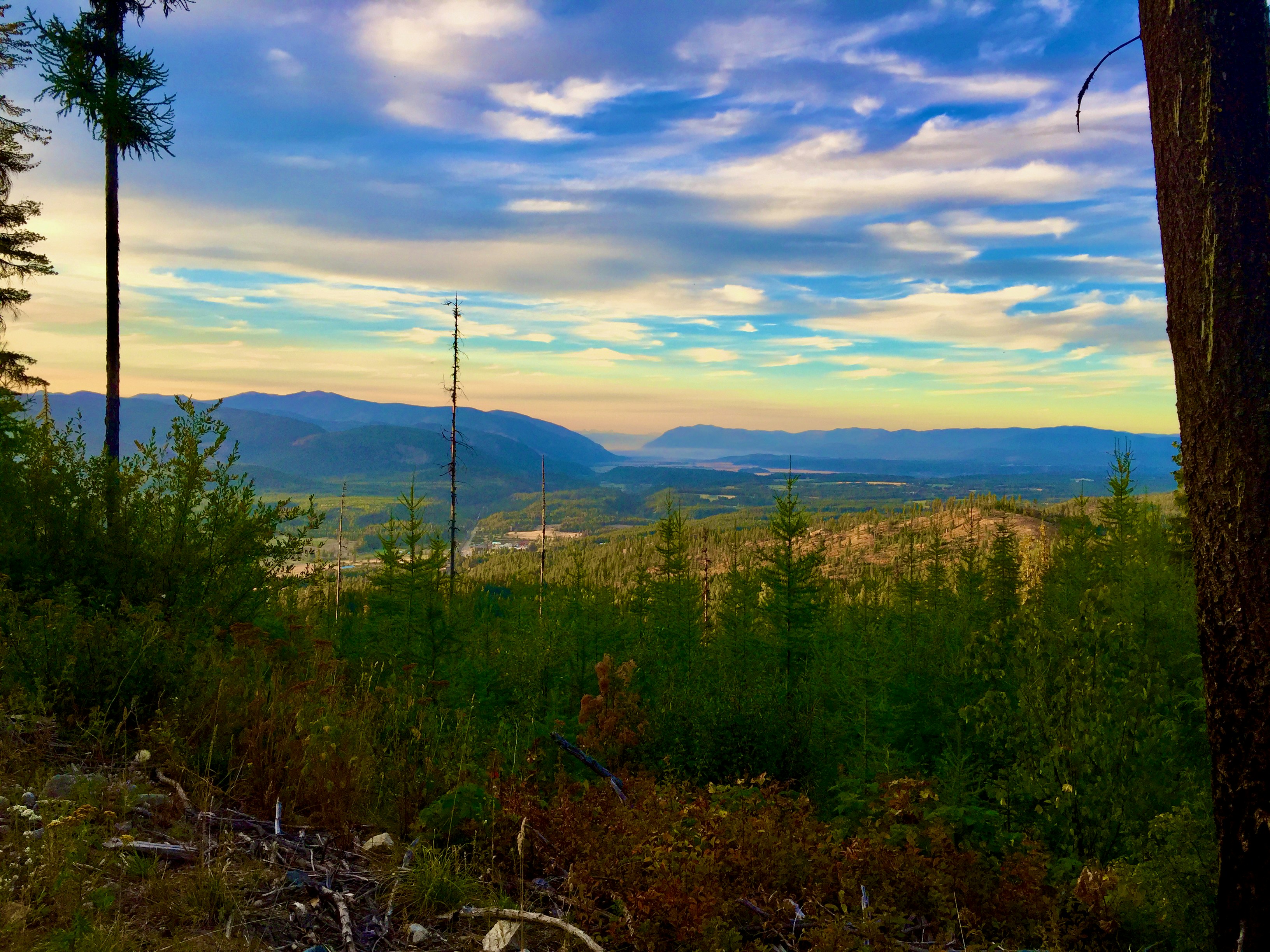 Photo by city2forest