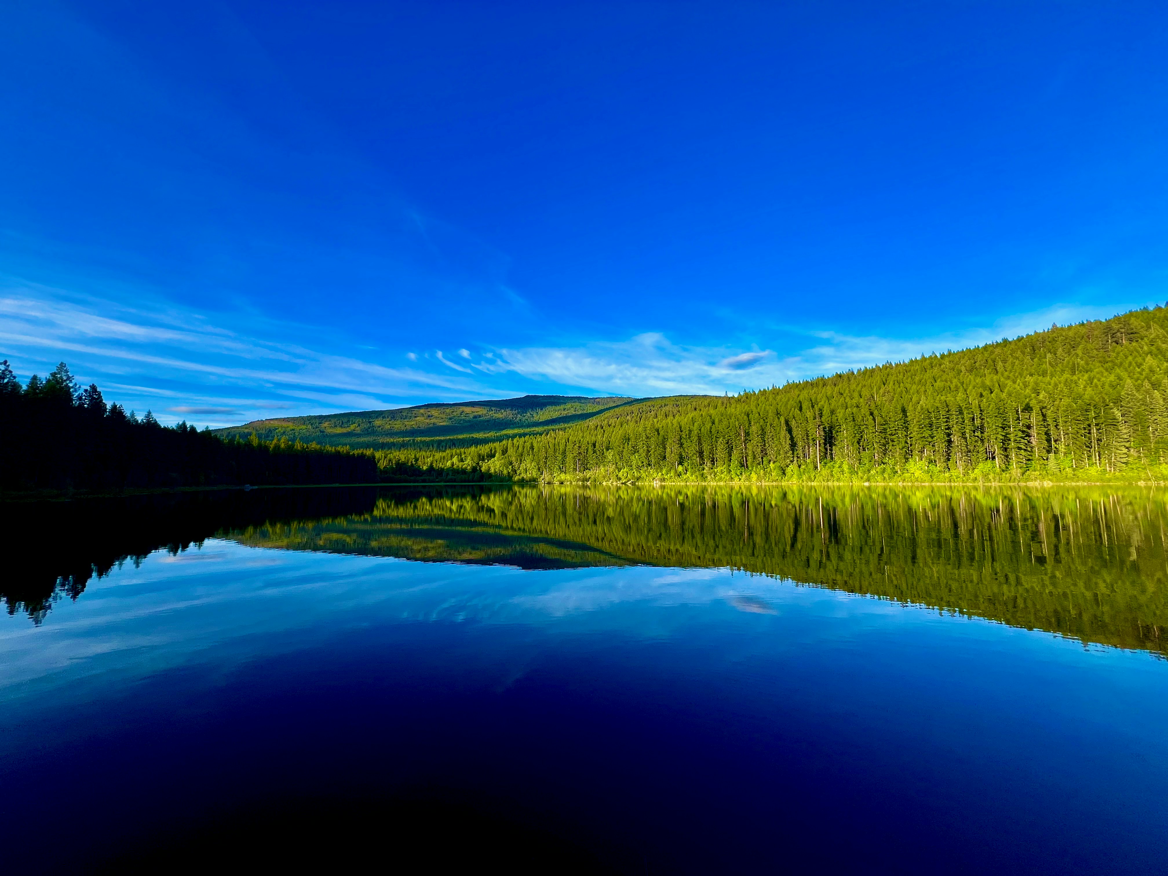 Photo by city2forest