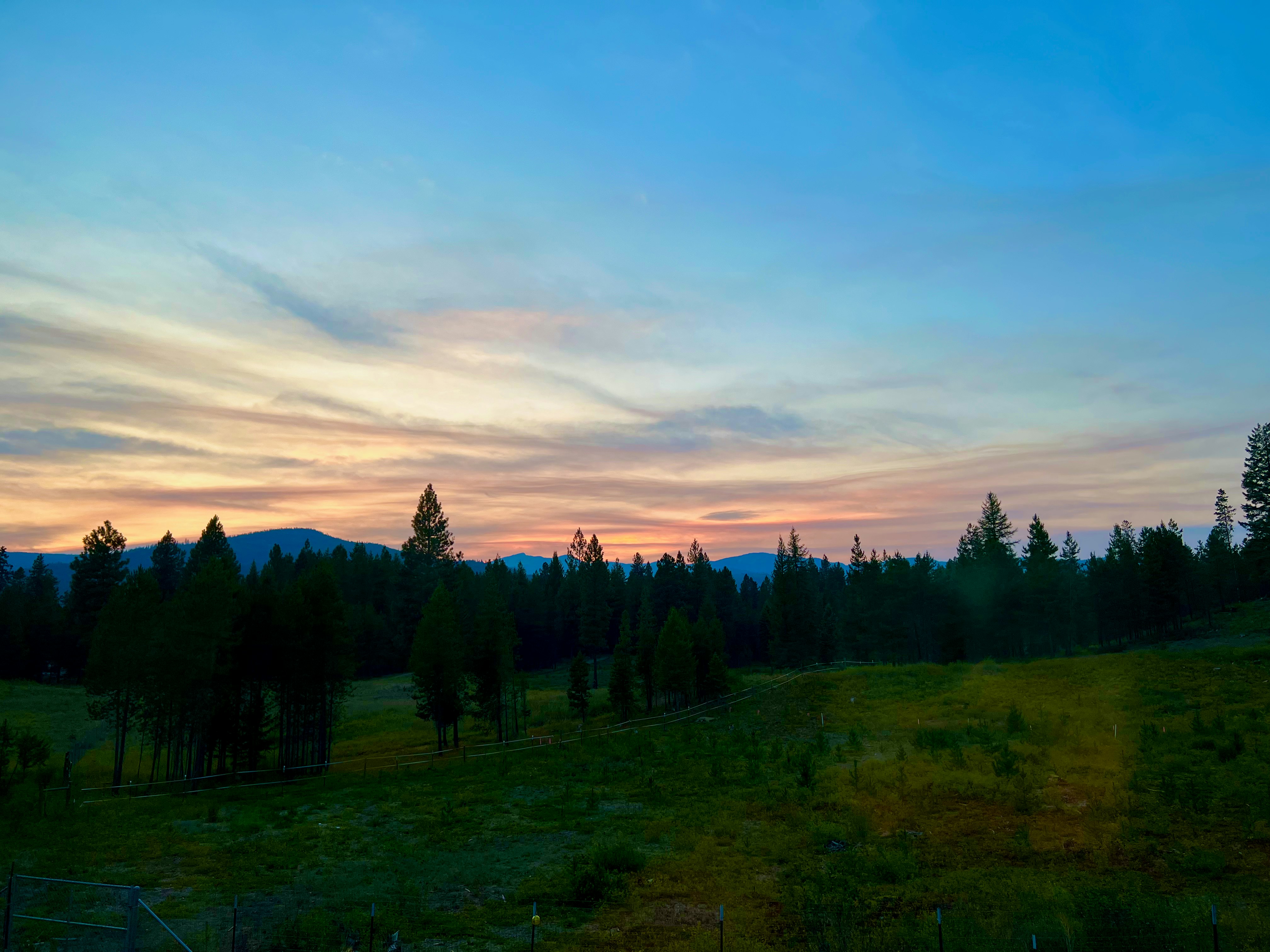 Photo by city2forest