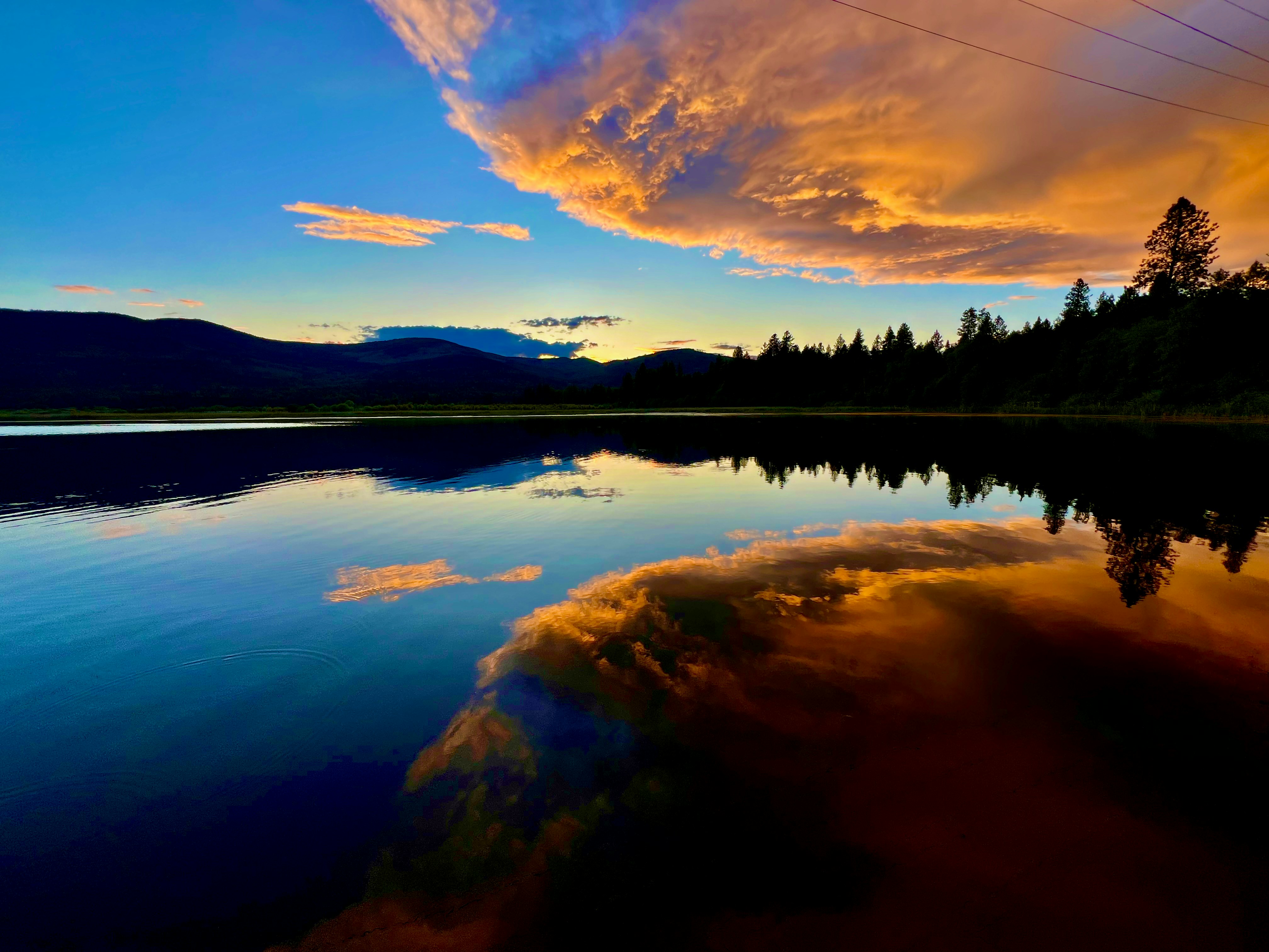 Photo by city2forest