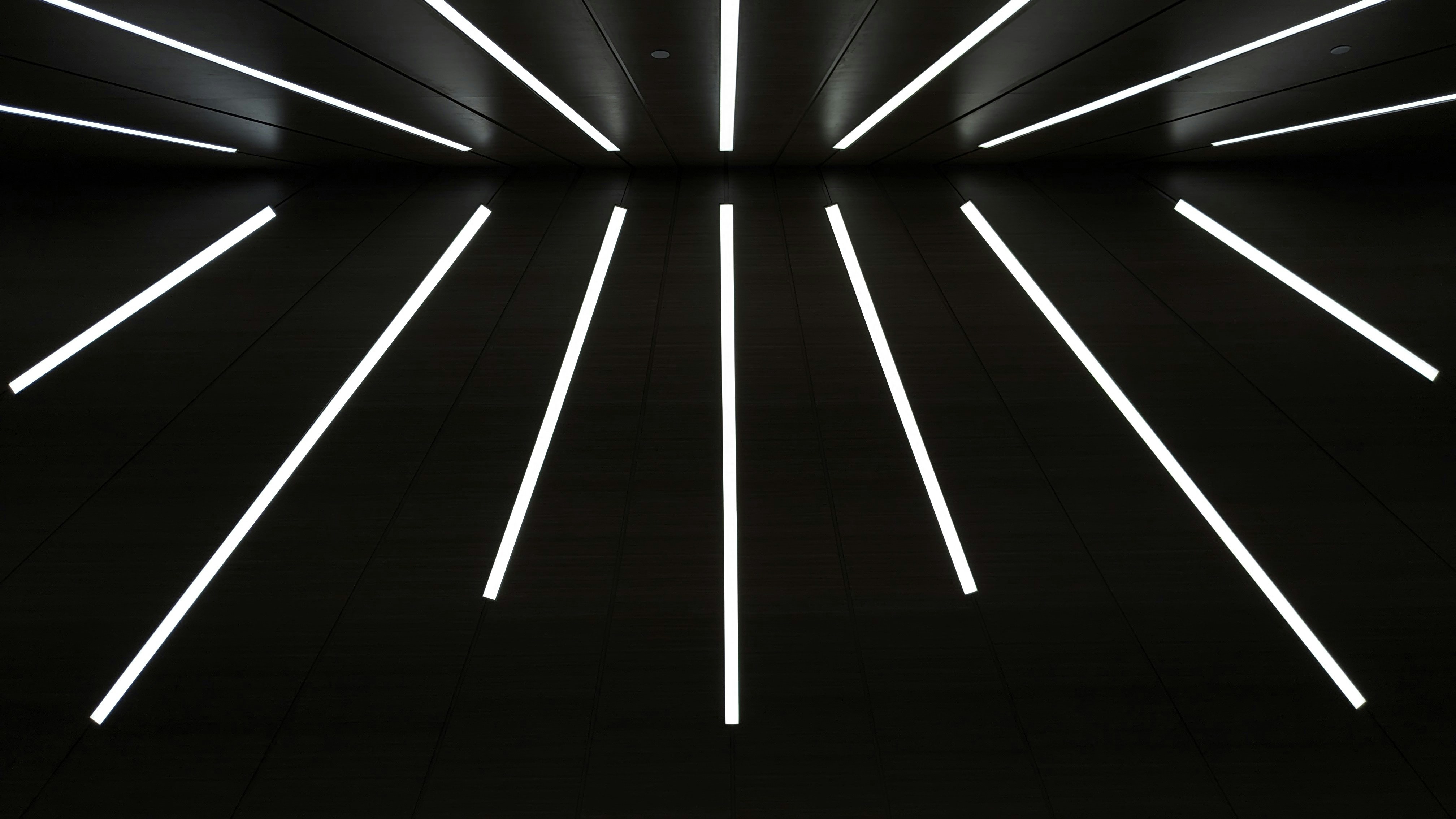 Photo by hashcode_error