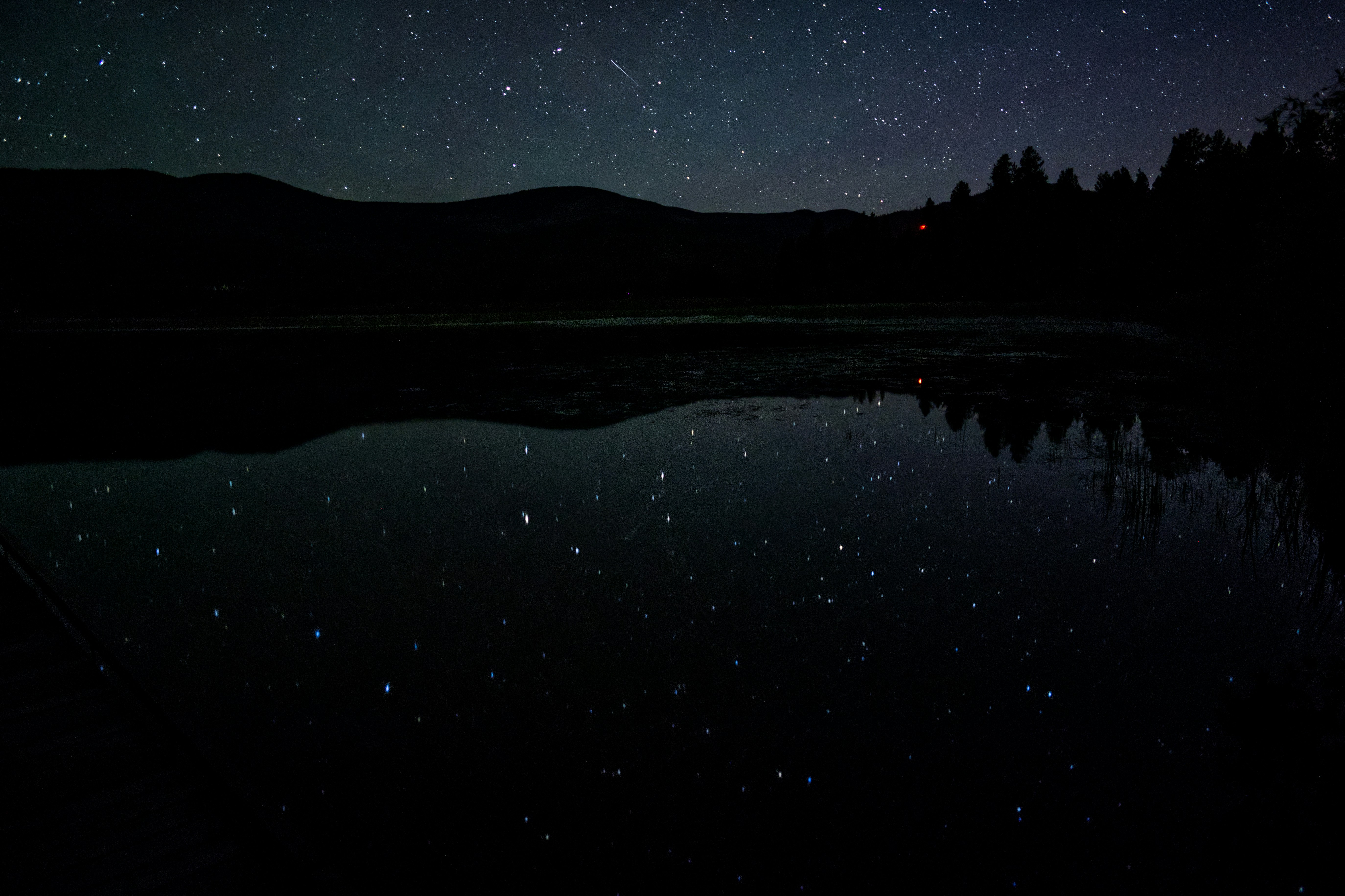 Photo by city2forest