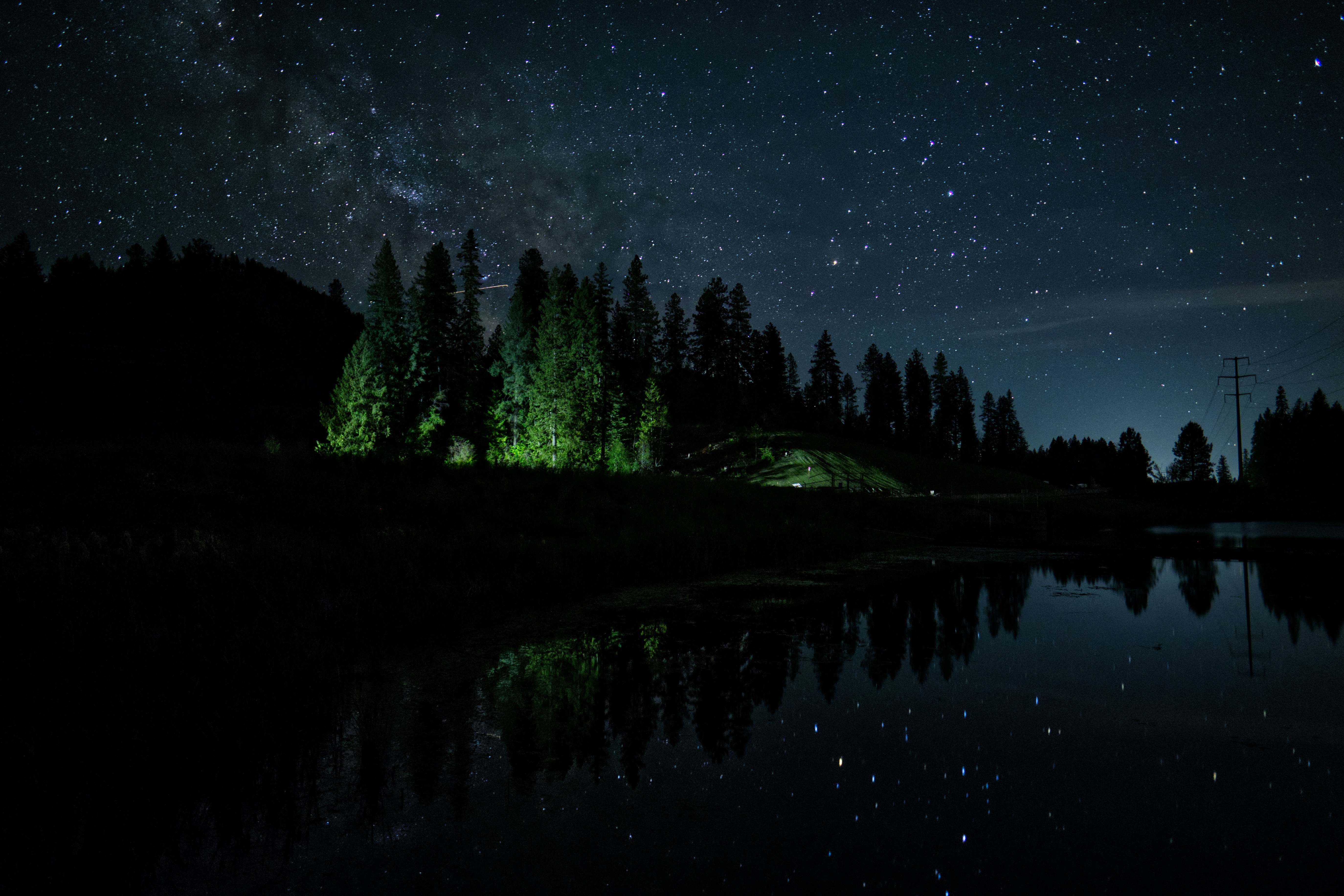 Photo by city2forest