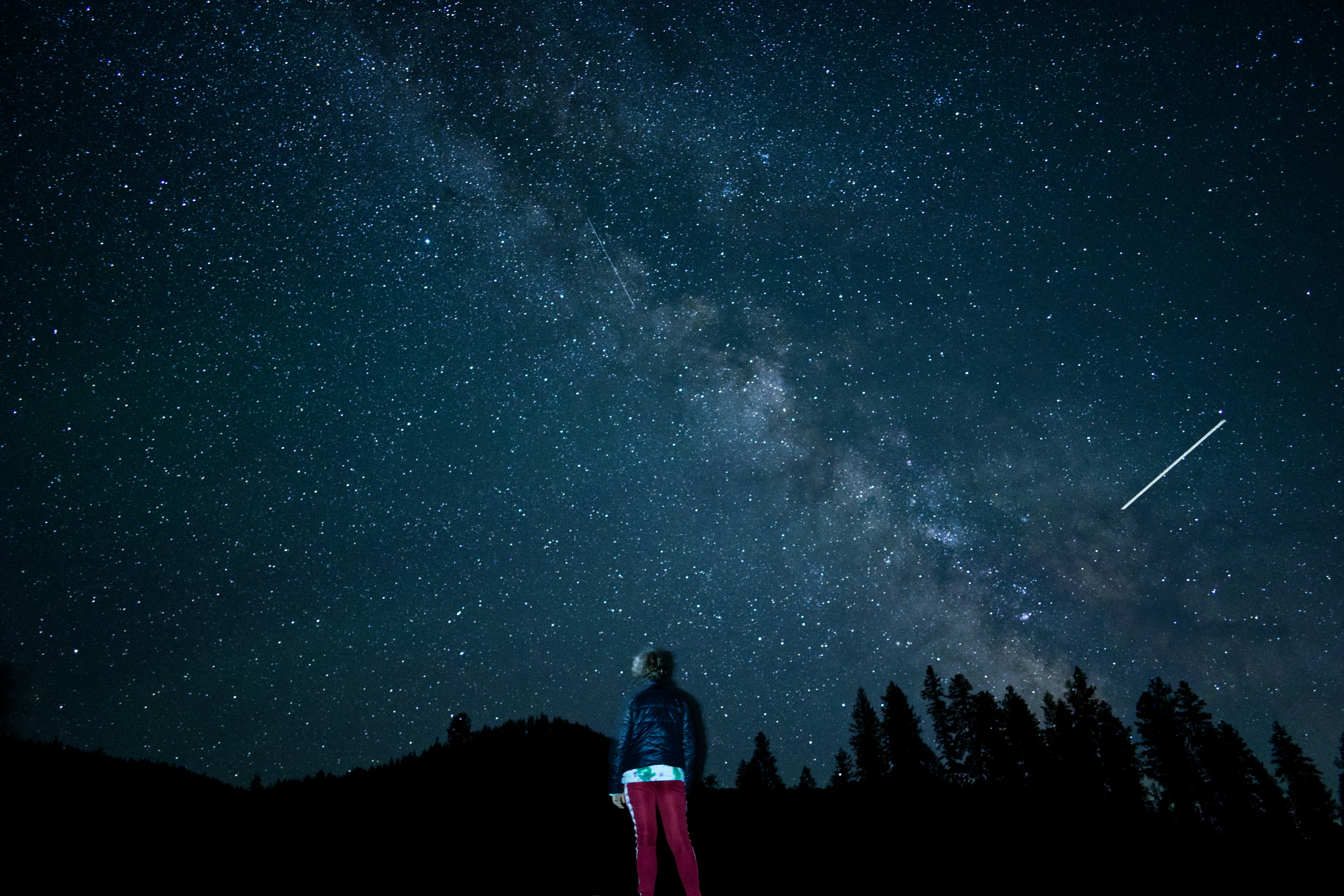 Photo by city2forest