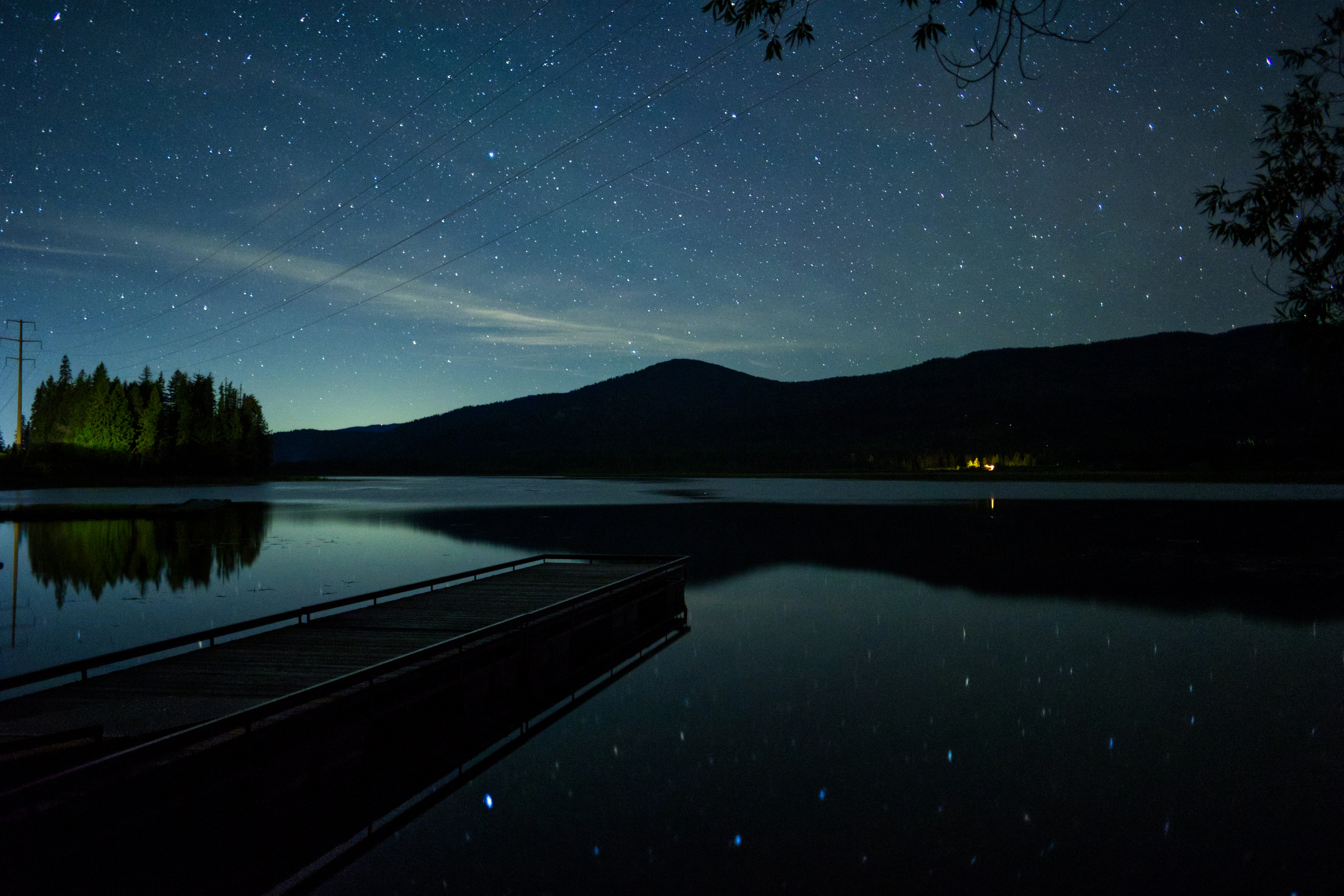 Photo by city2forest