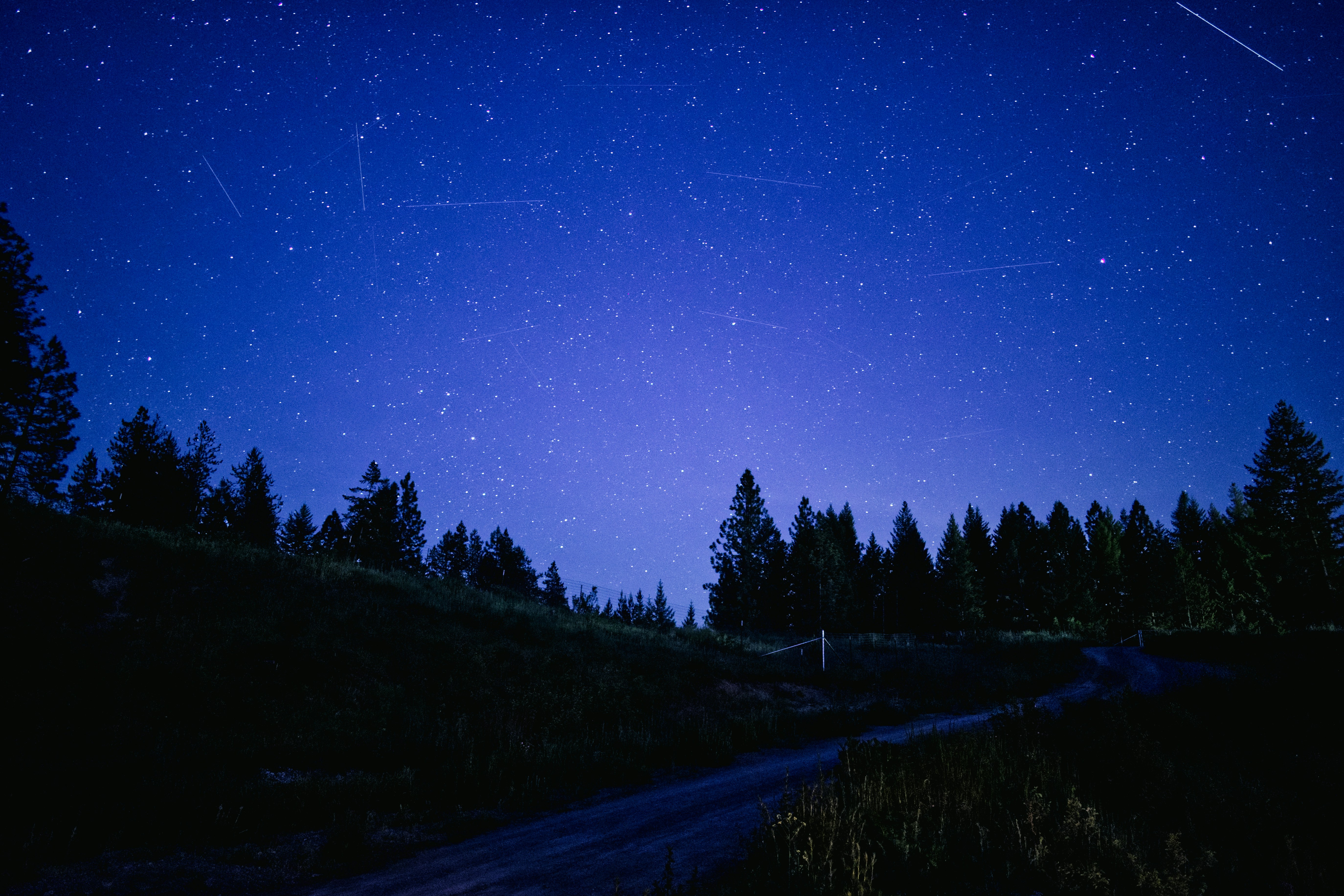 Photo by city2forest