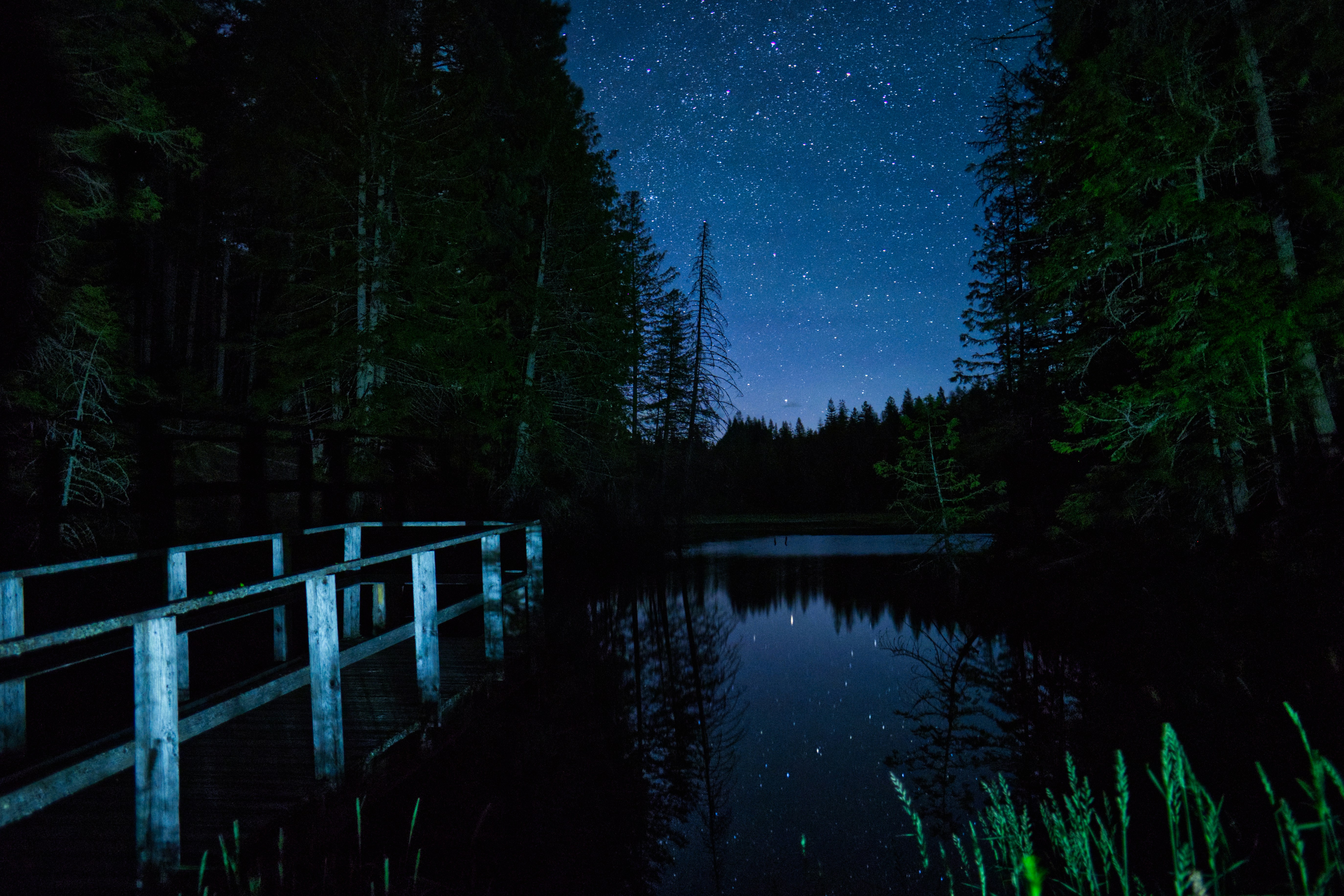 Photo by city2forest