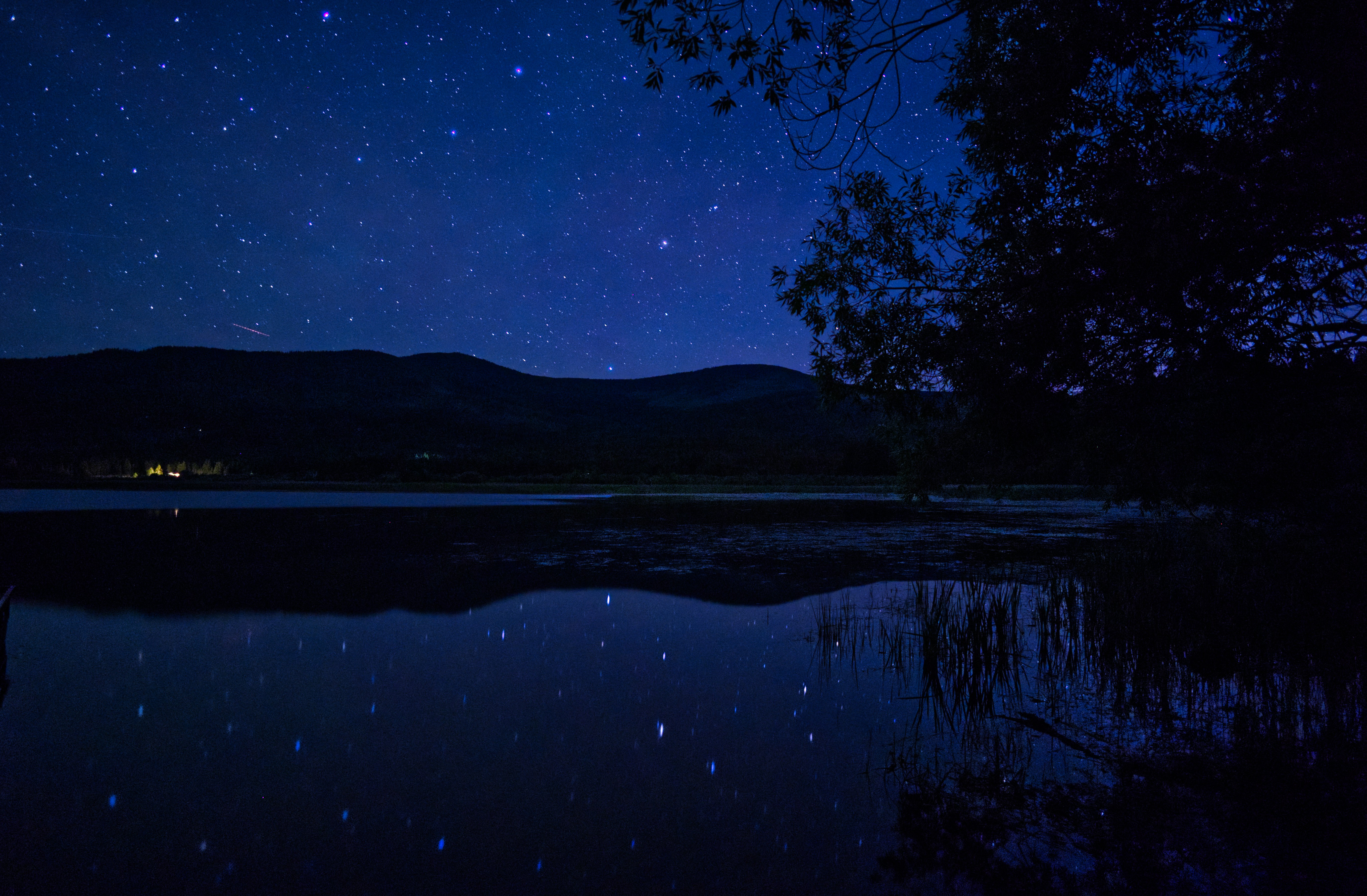 Photo by city2forest