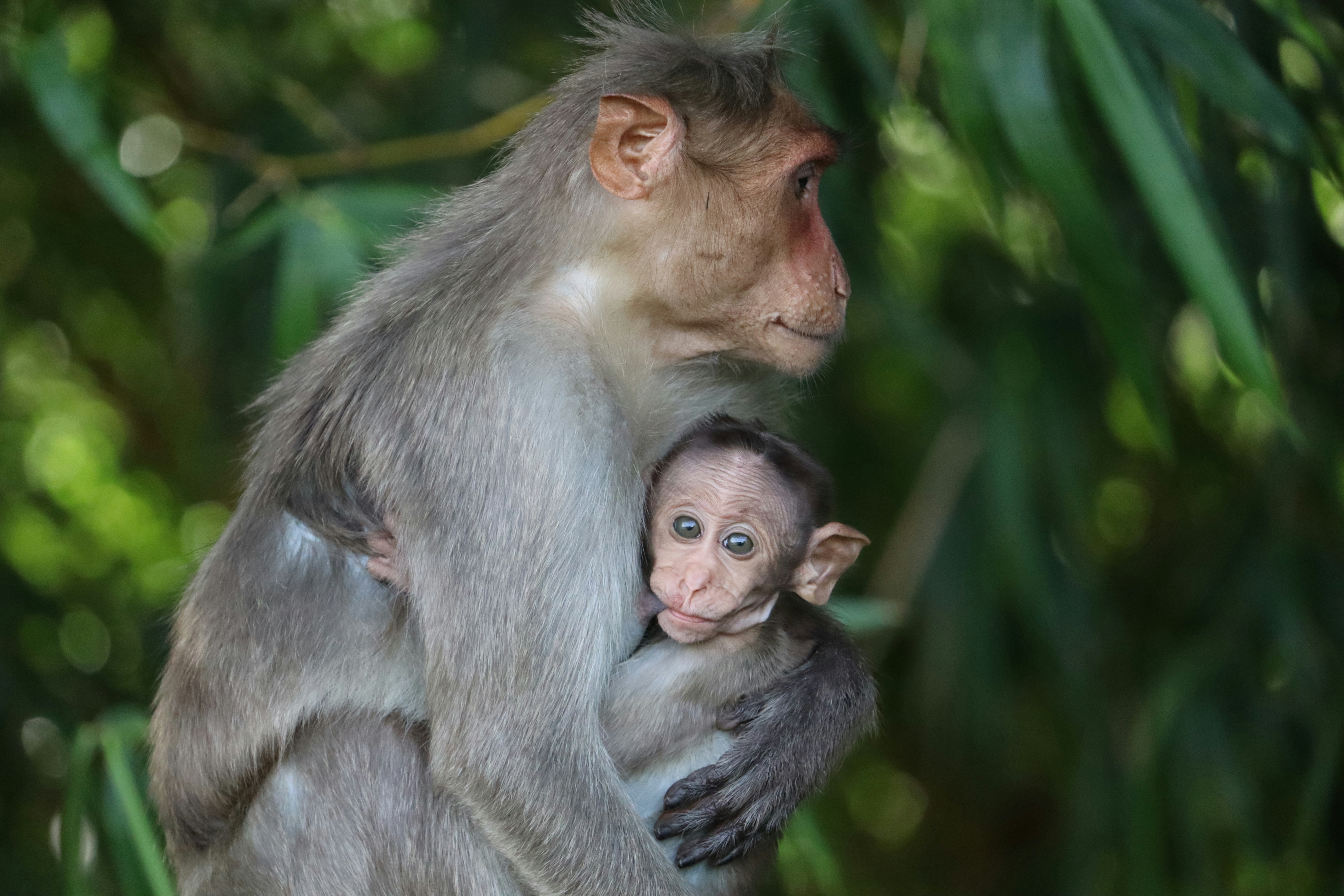 Photo by prathap_karaka