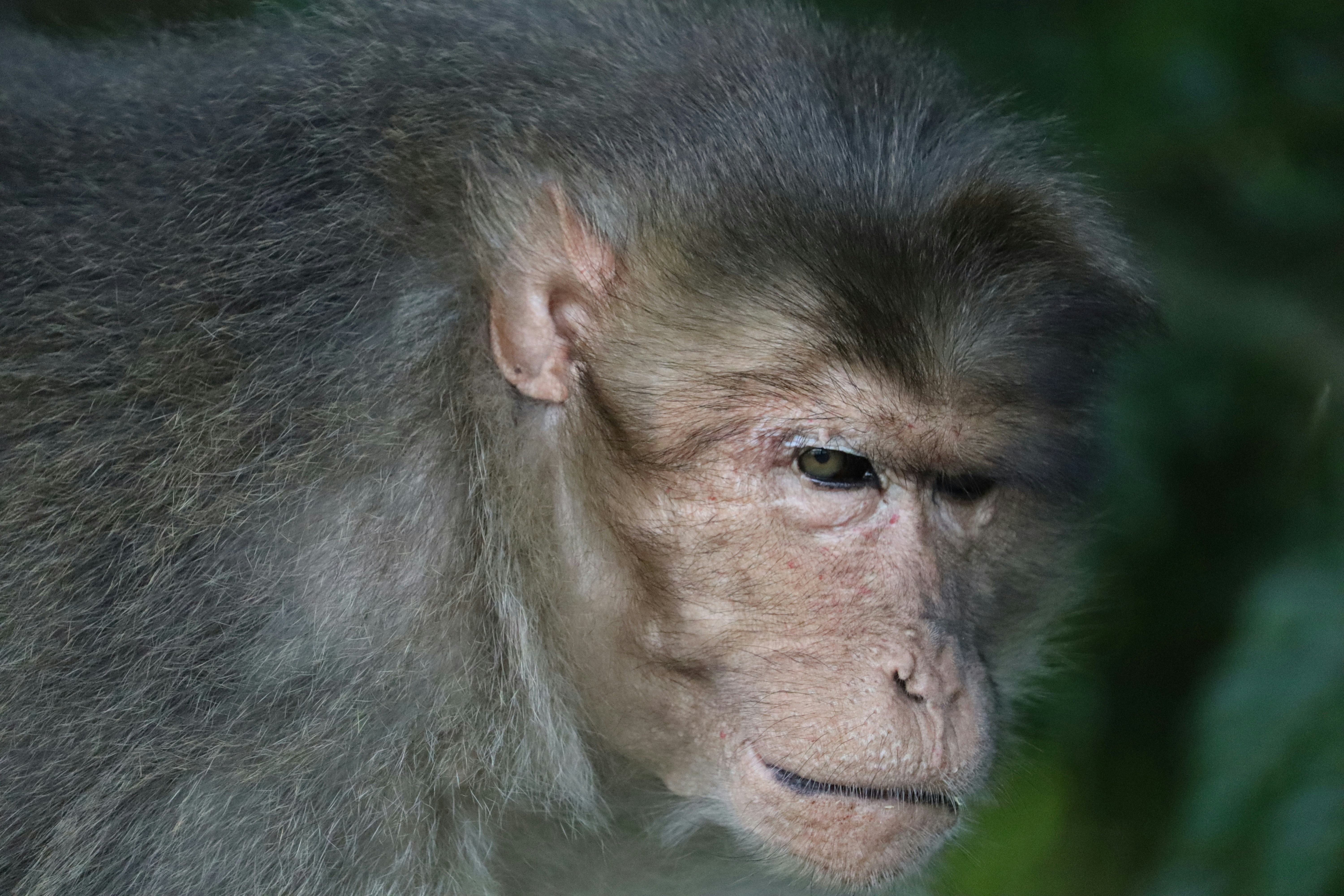 Photo by prathap_karaka