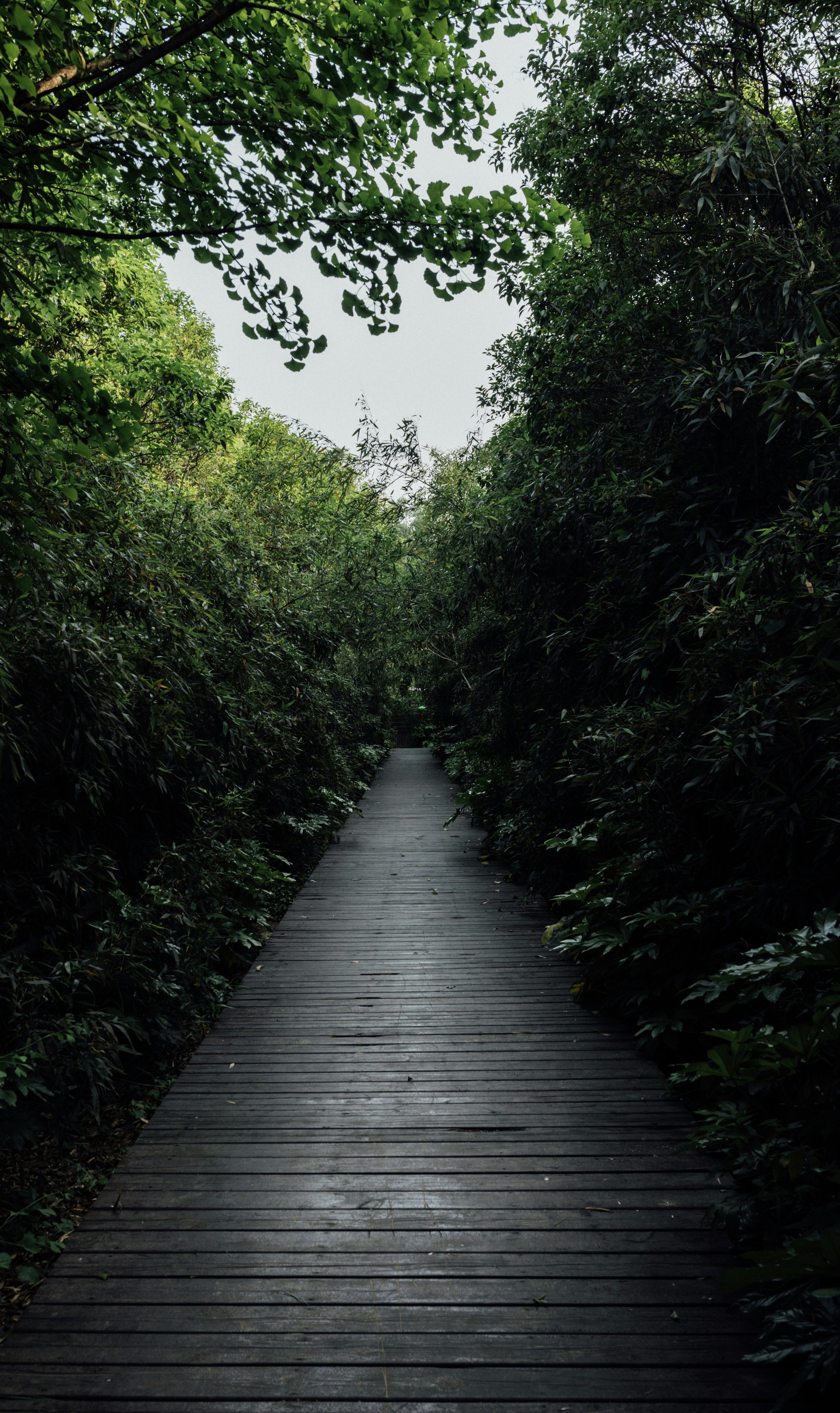 Photo by summerobelisk