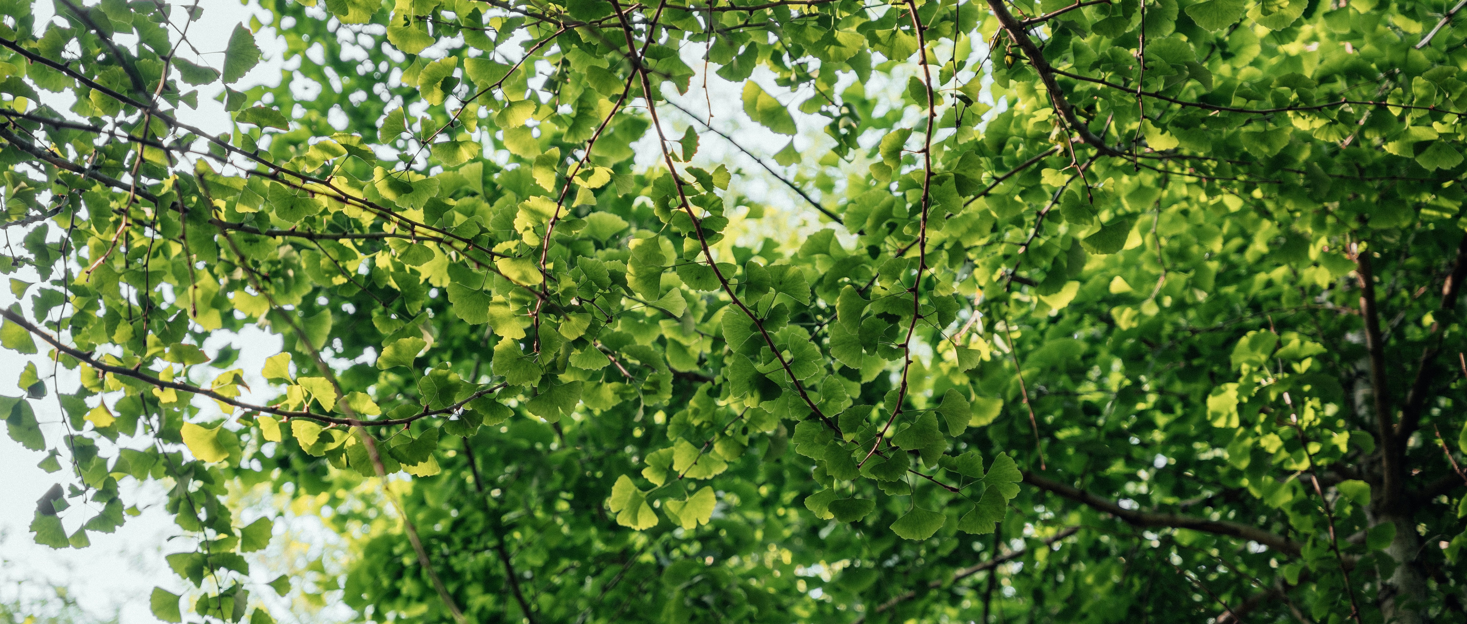 Photo by summerobelisk