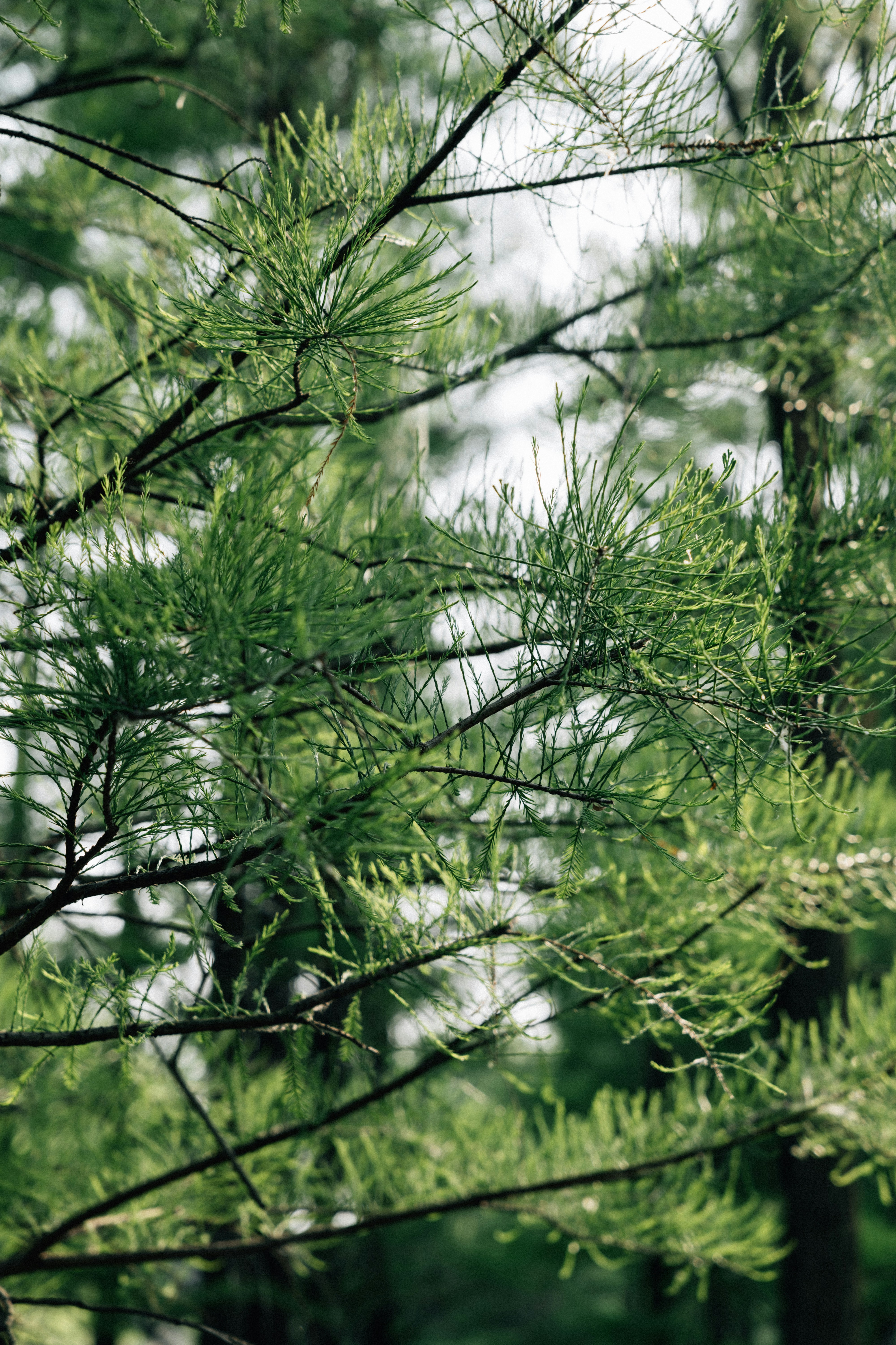 Photo by summerobelisk