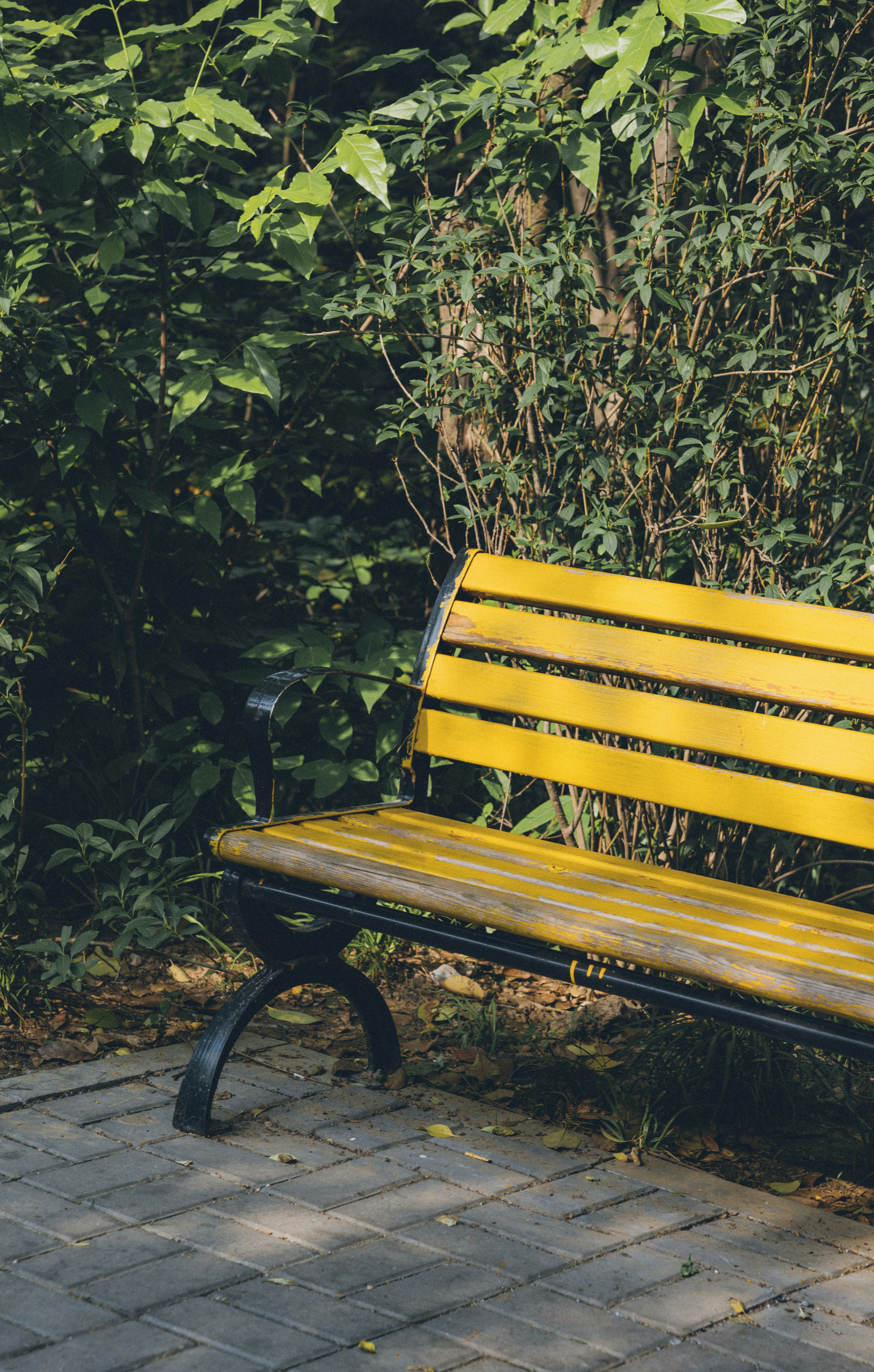 Photo by summerobelisk