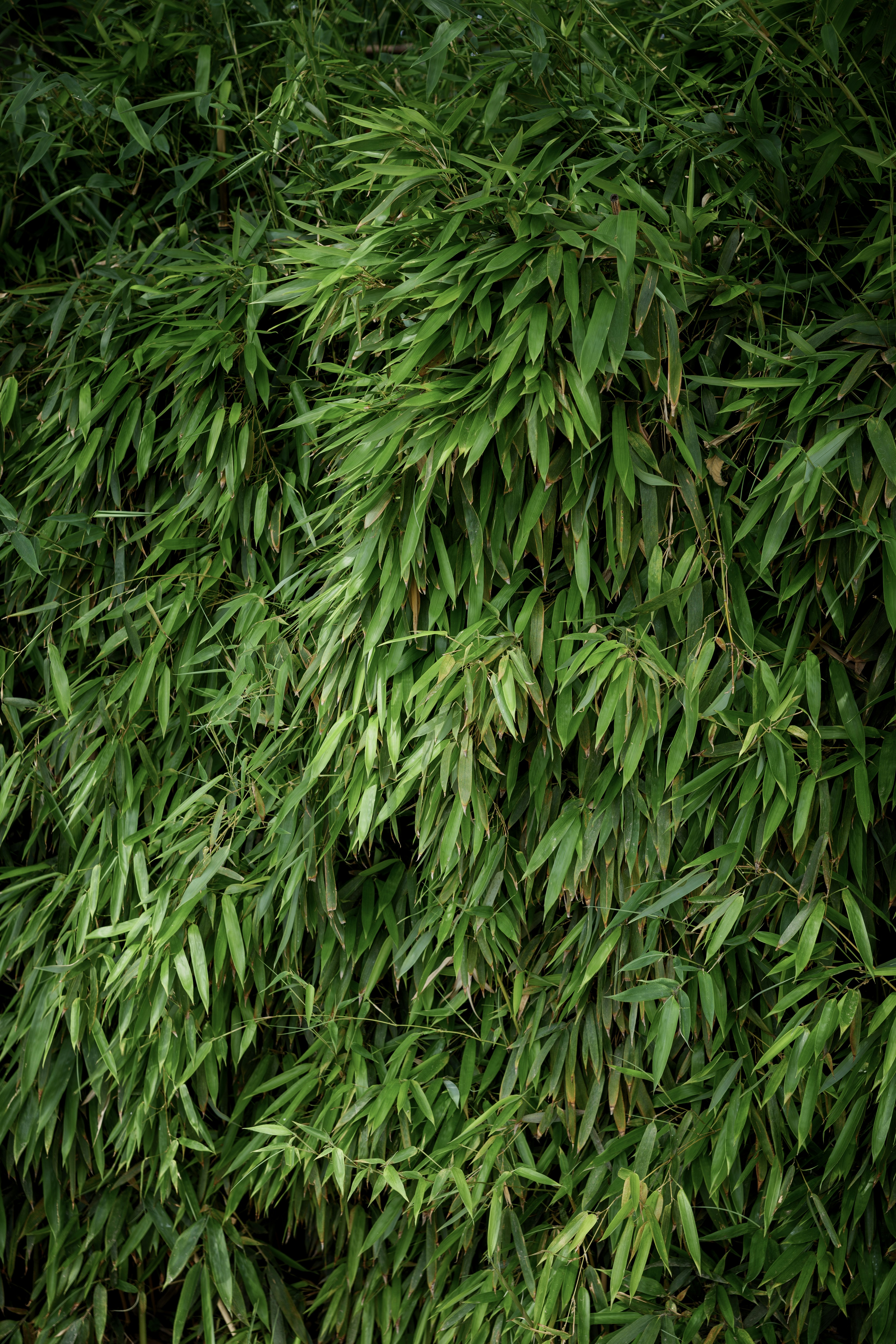 Photo by summerobelisk