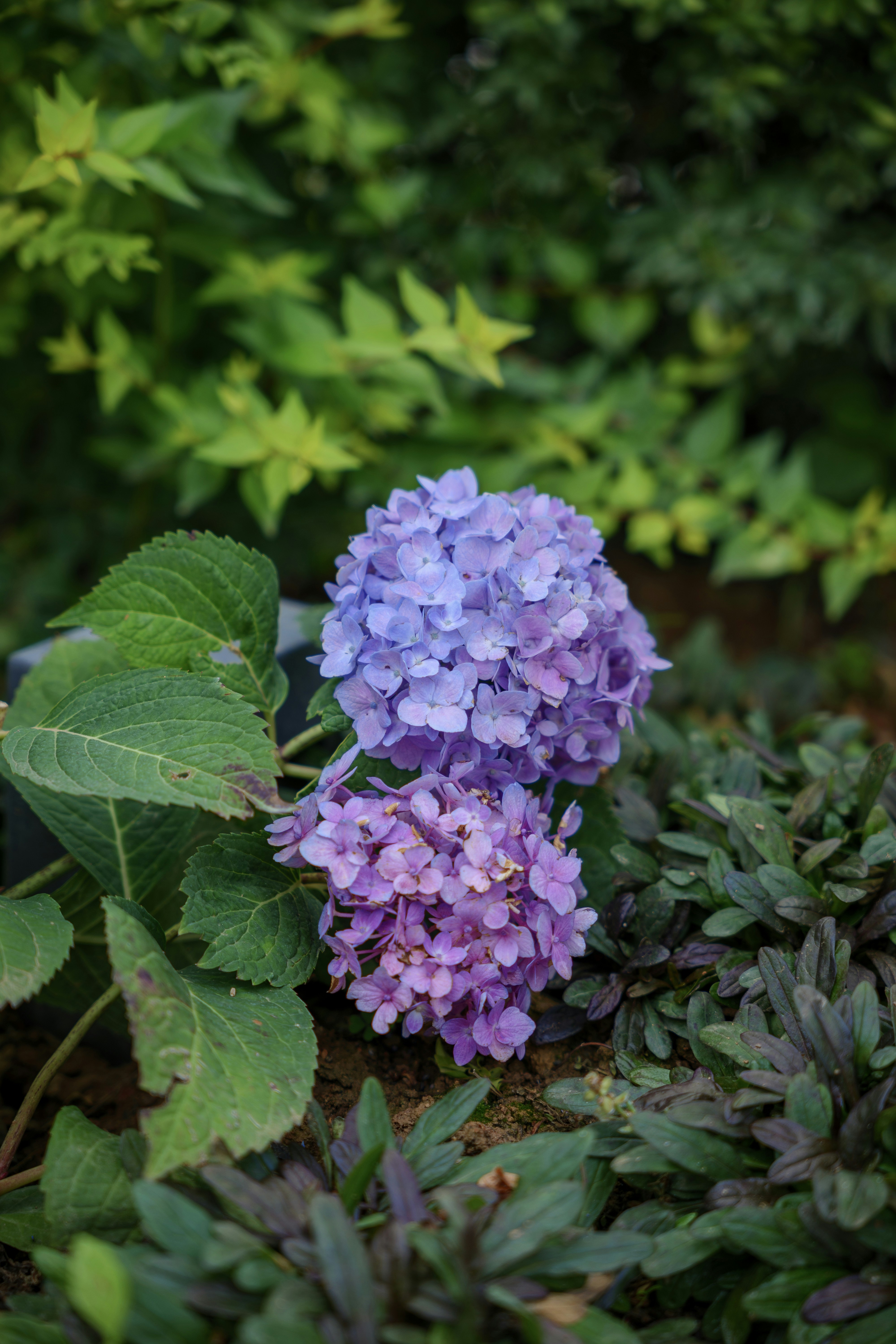 Photo by summerobelisk