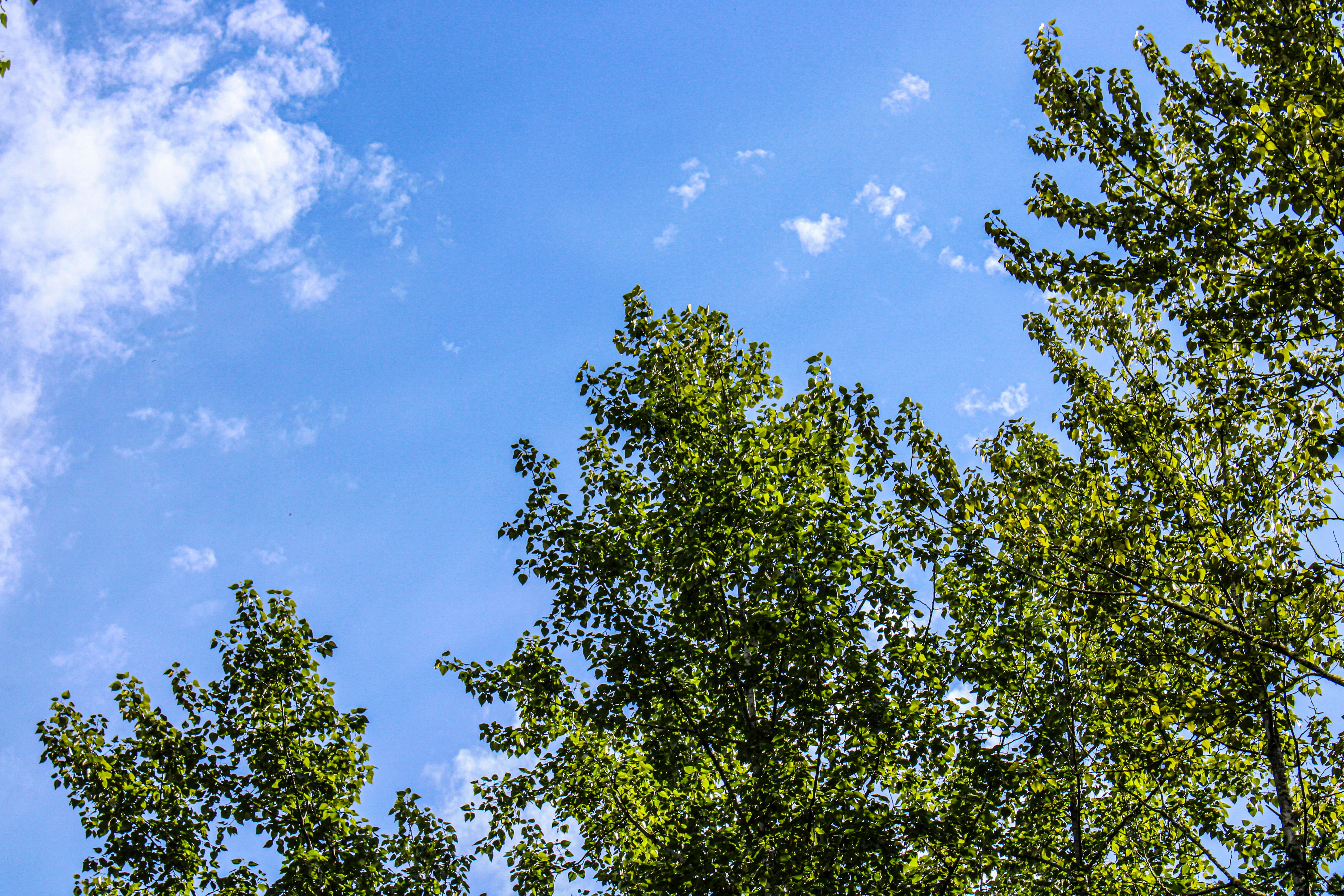 Photo by prphotography262