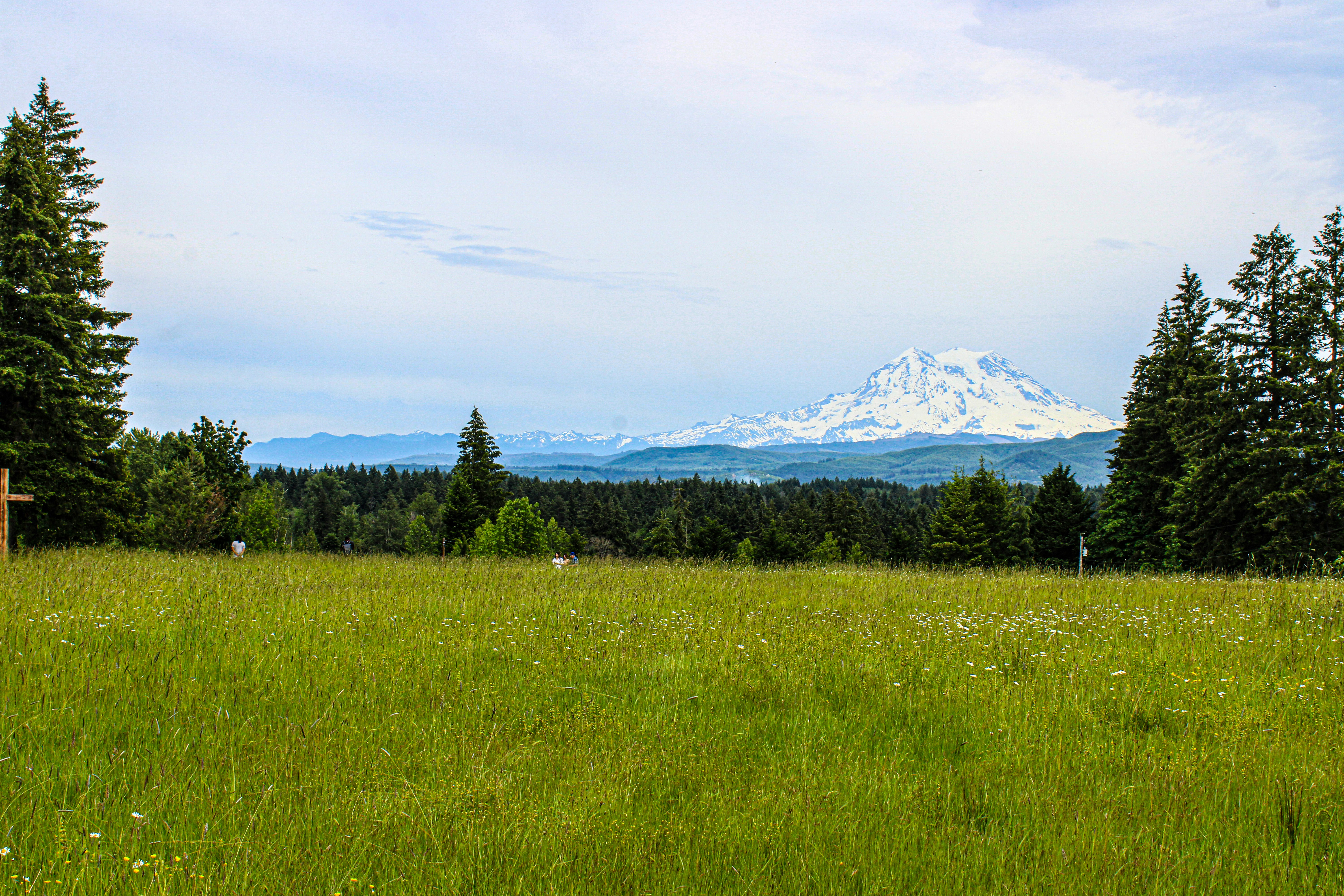 Photo by prphotography262