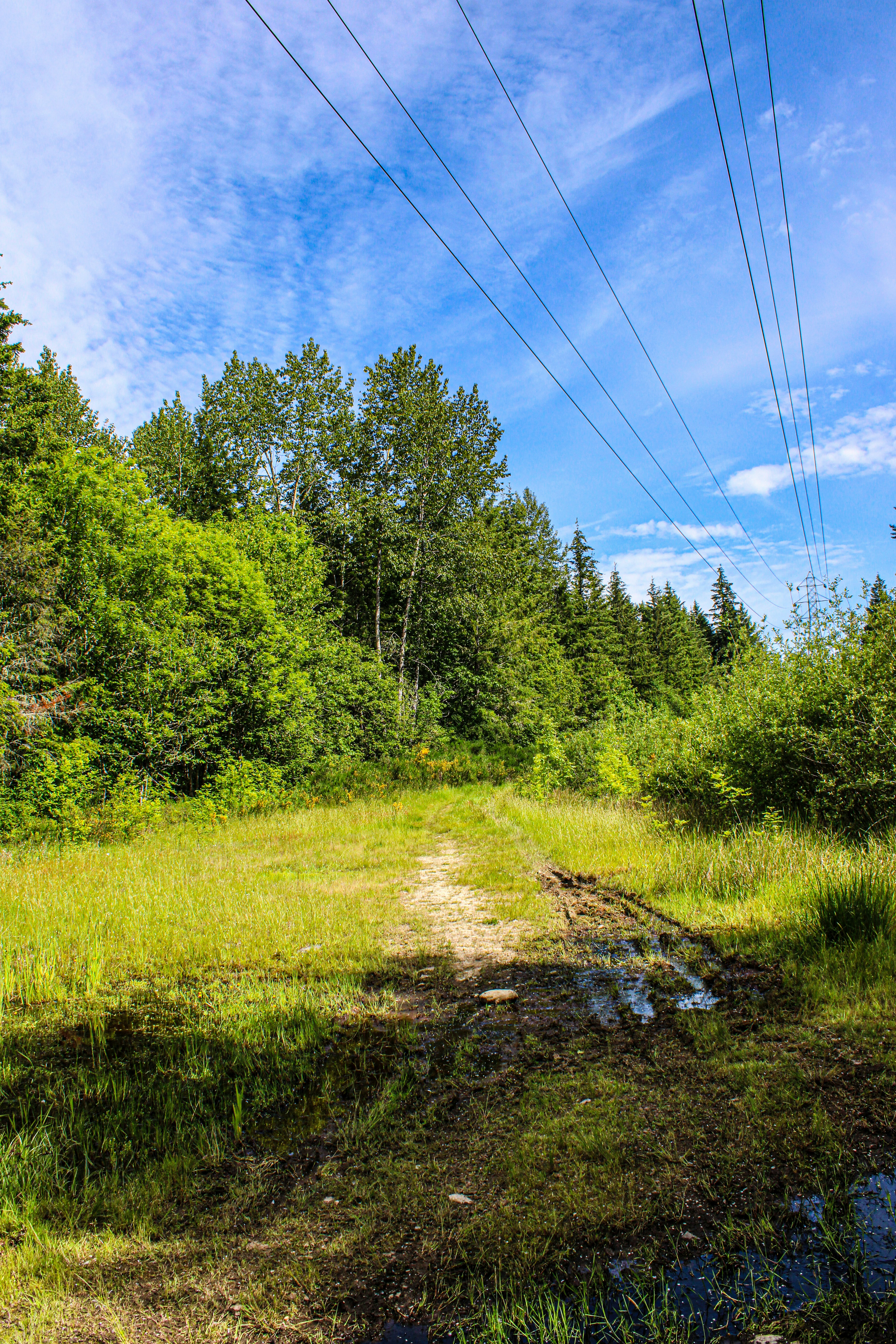 Photo by prphotography262